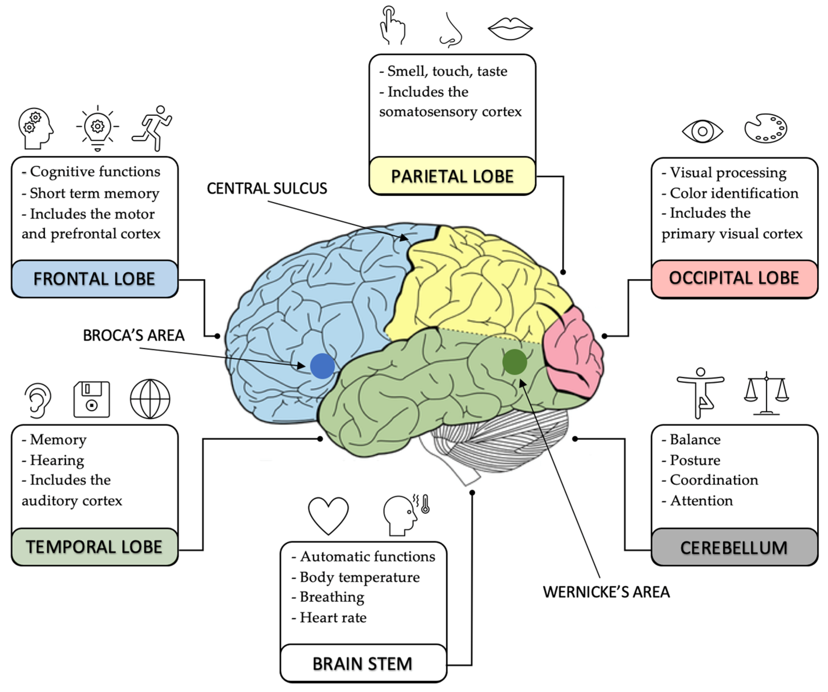Electronics Free FullText A Survey on EEG Signal Processing