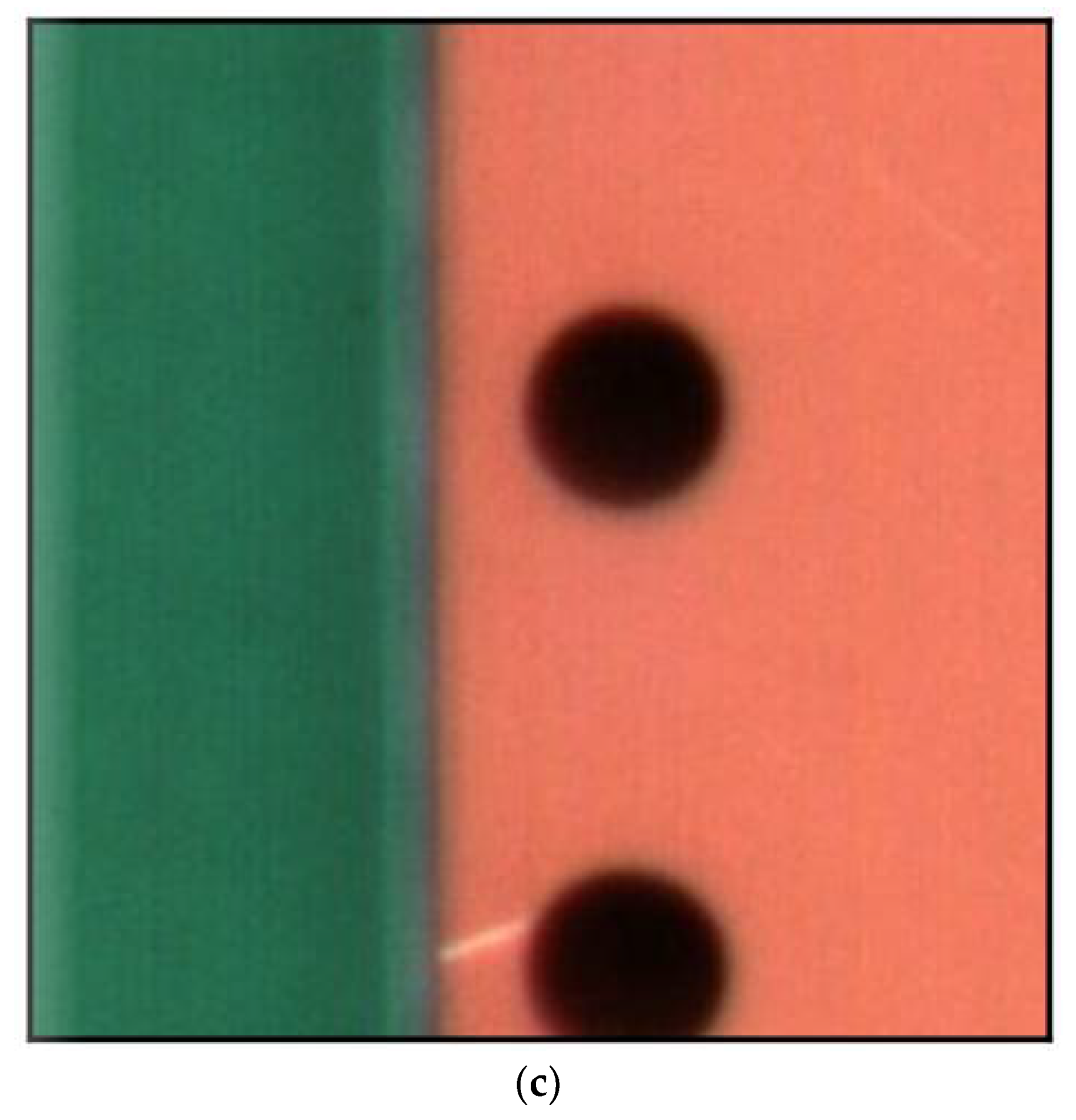 Electronics 10 03177 g003b