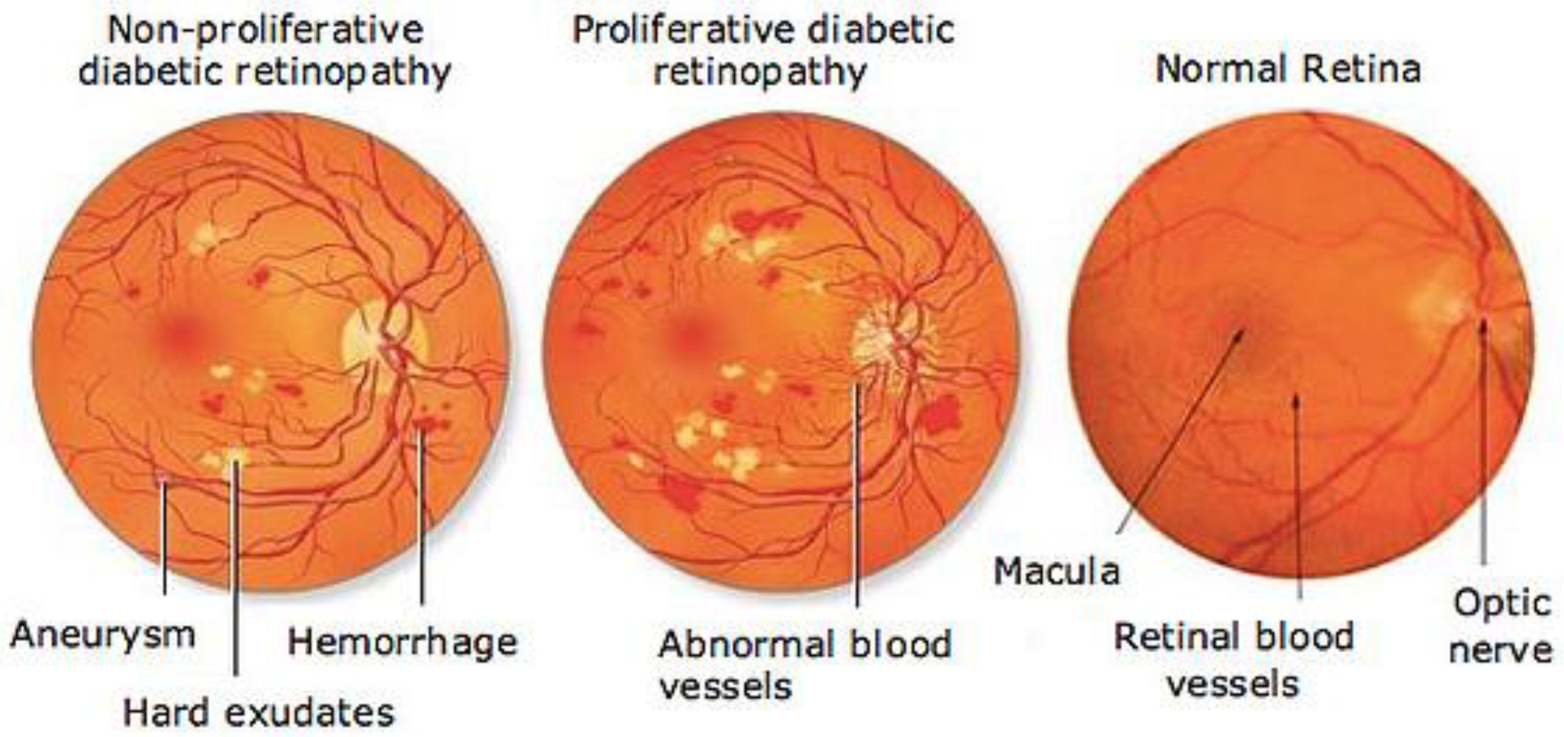 Electronics 11 00023 g001