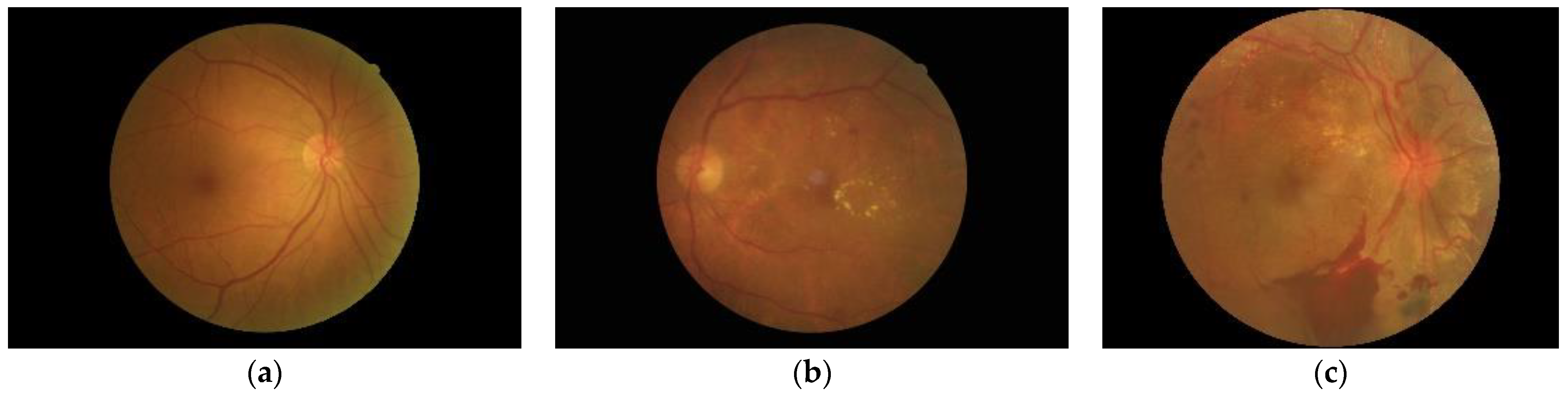 Electronics 11 00023 g004
