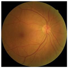 Electronics 11 00023 i004