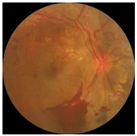 Electronics 11 00023 i006