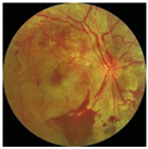 Electronics 11 00023 i009