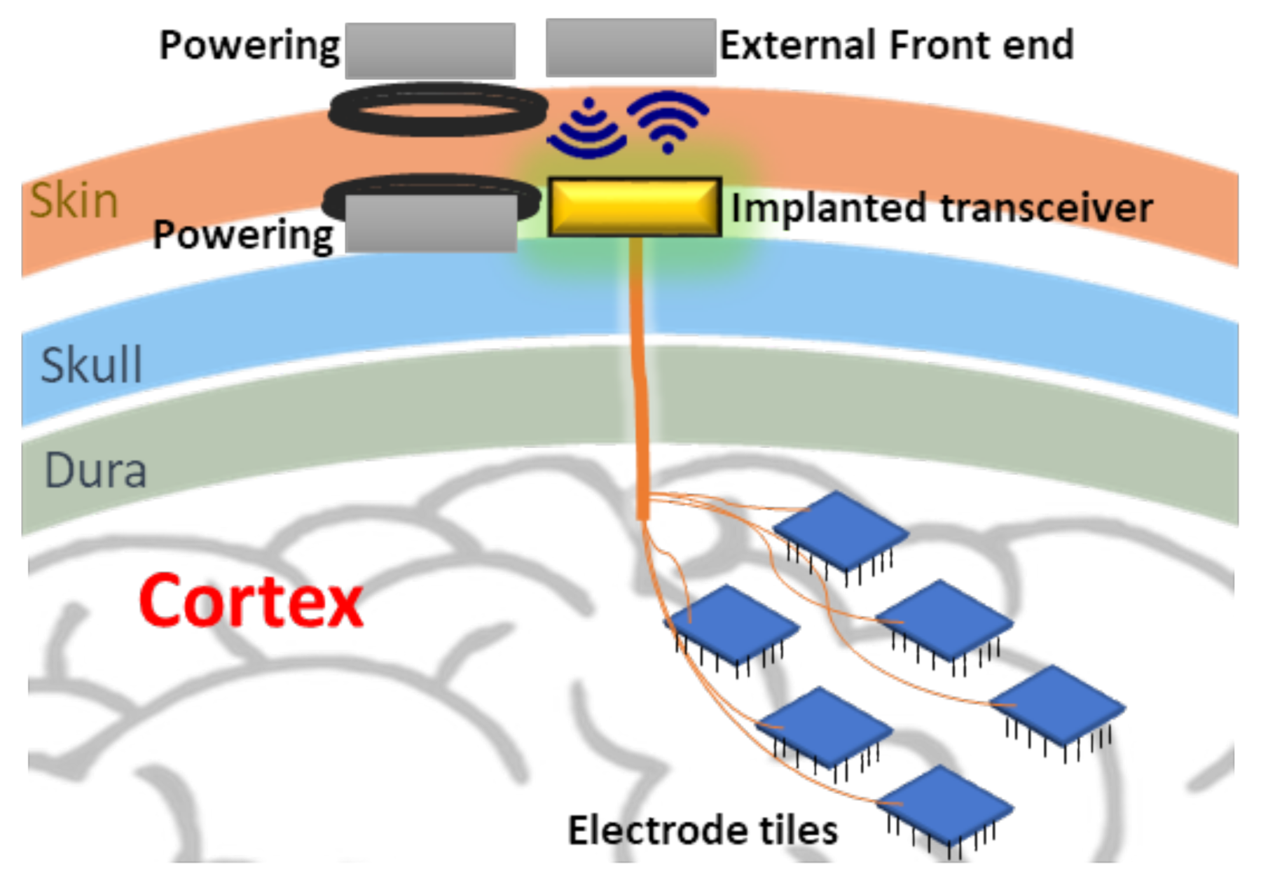 Electronics 11 00024 g001 550