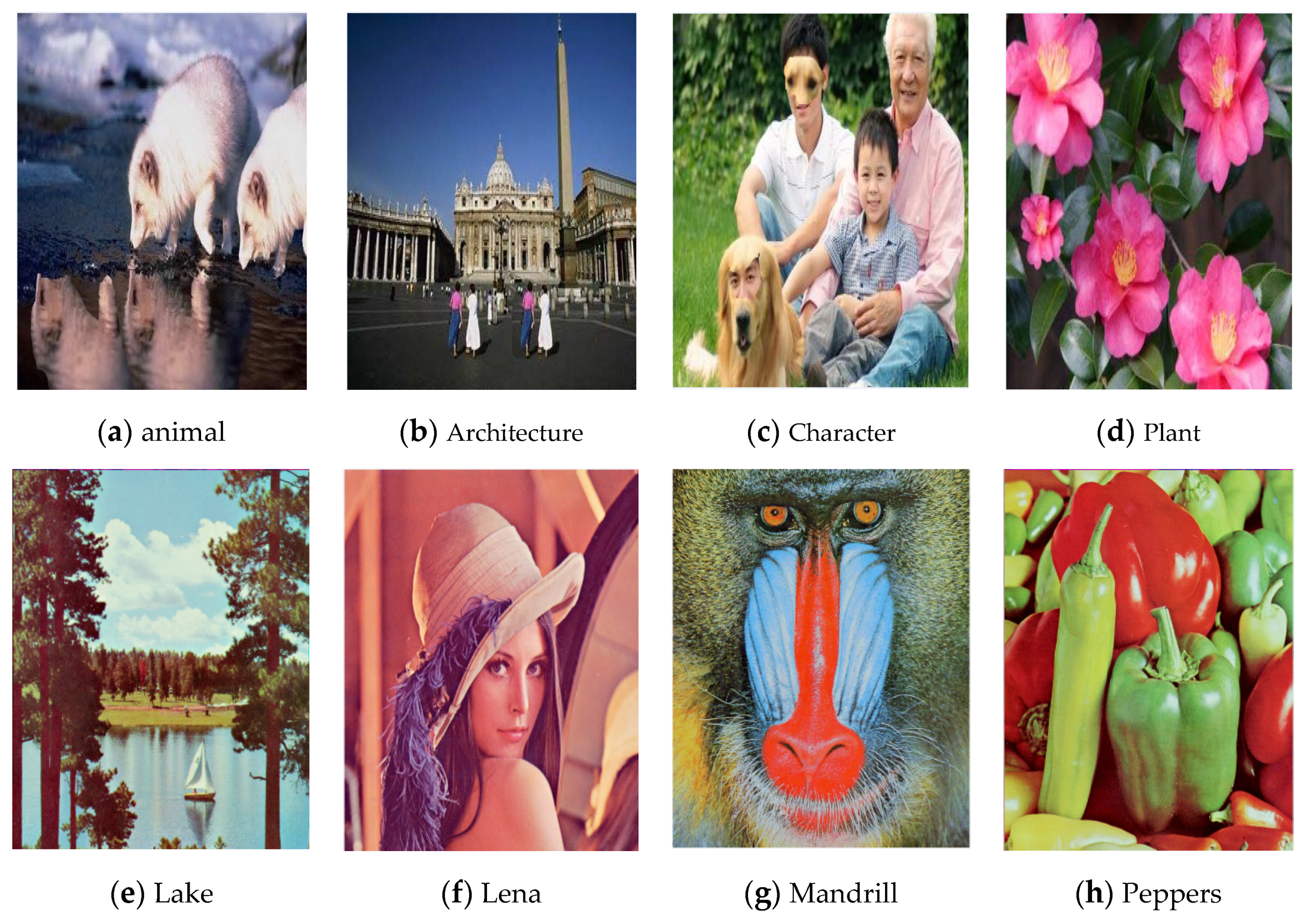 Electronics 11 00136 g005