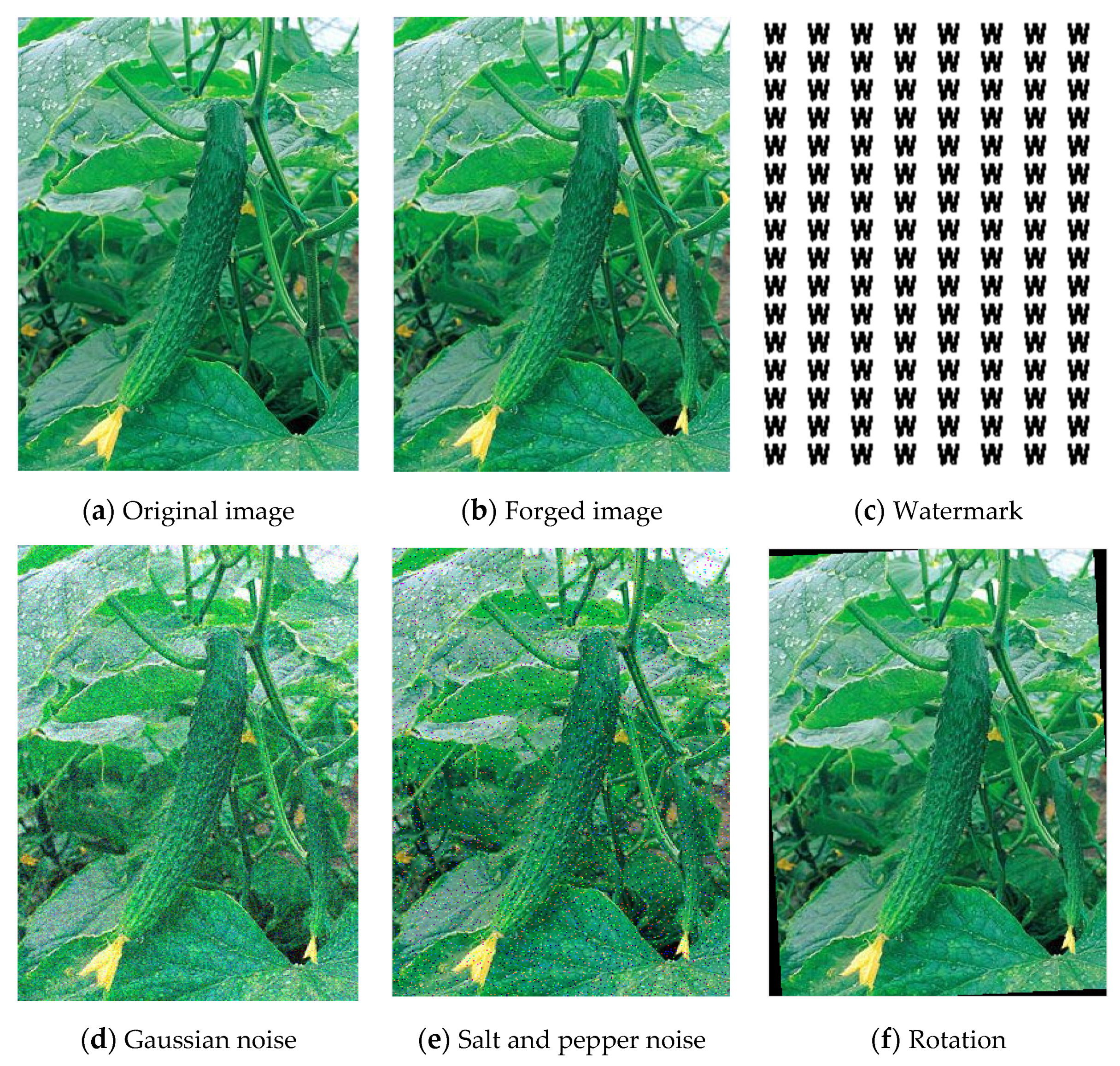 Electronics 11 00136 g007