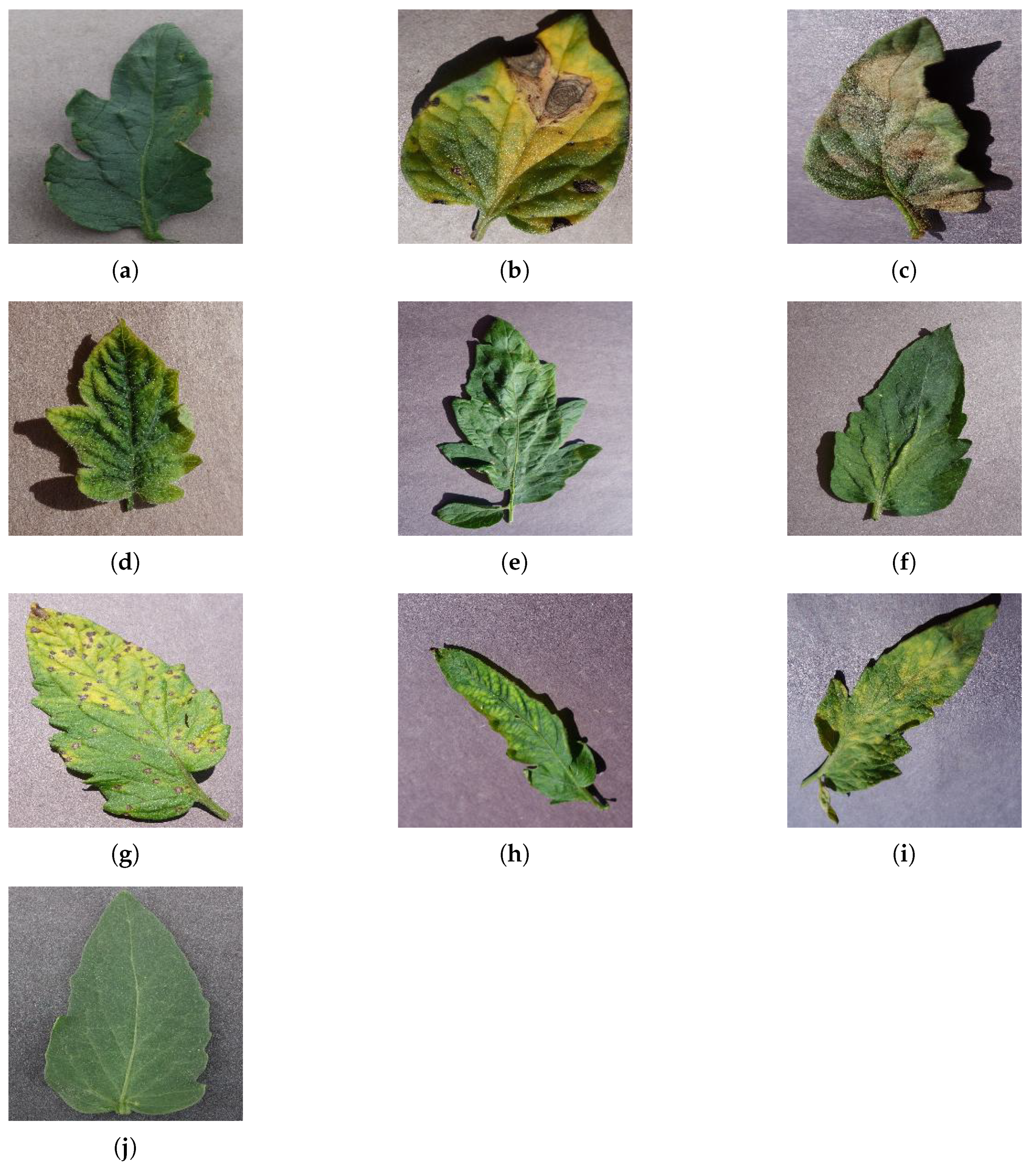 Electronics 11 00140 g007 550