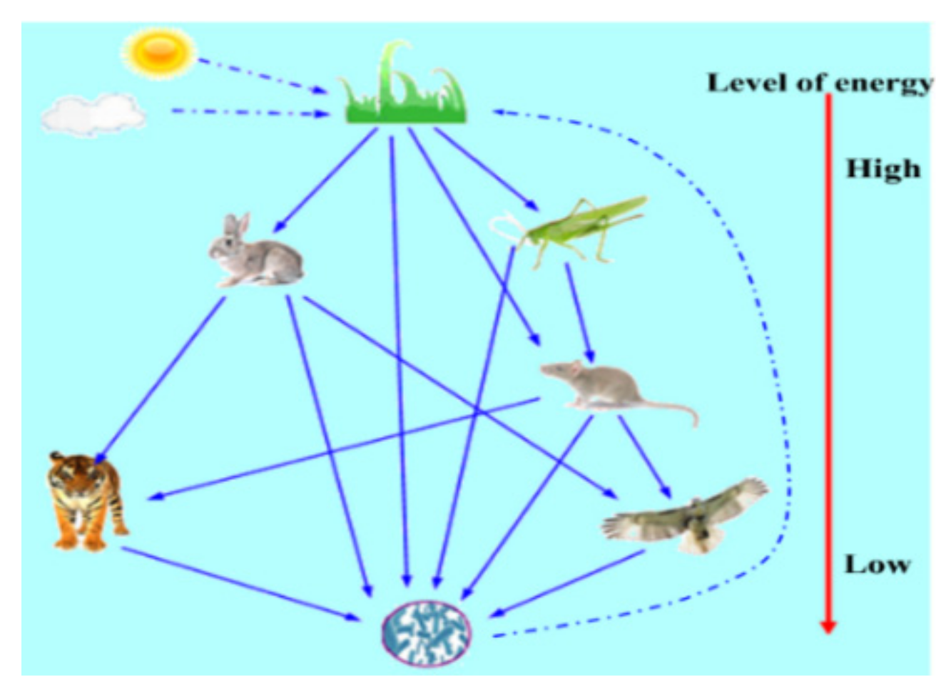 Electronics 11 00204 g005 550