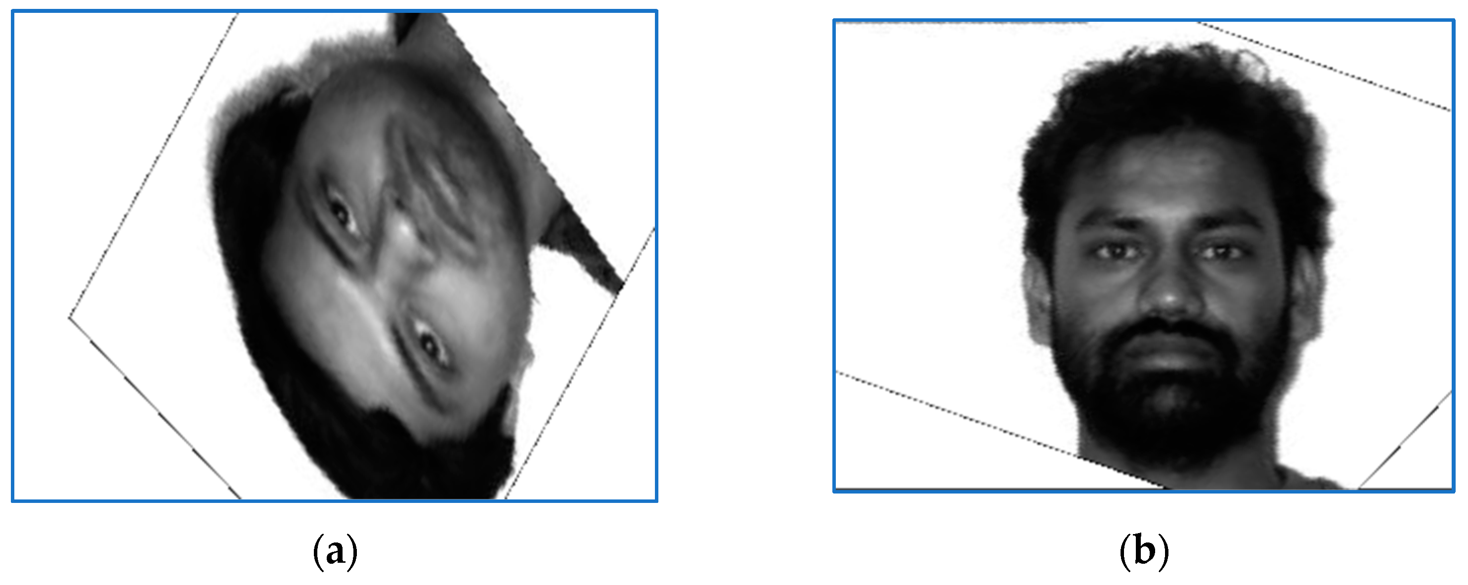 Electronics 11 00278 g007 550