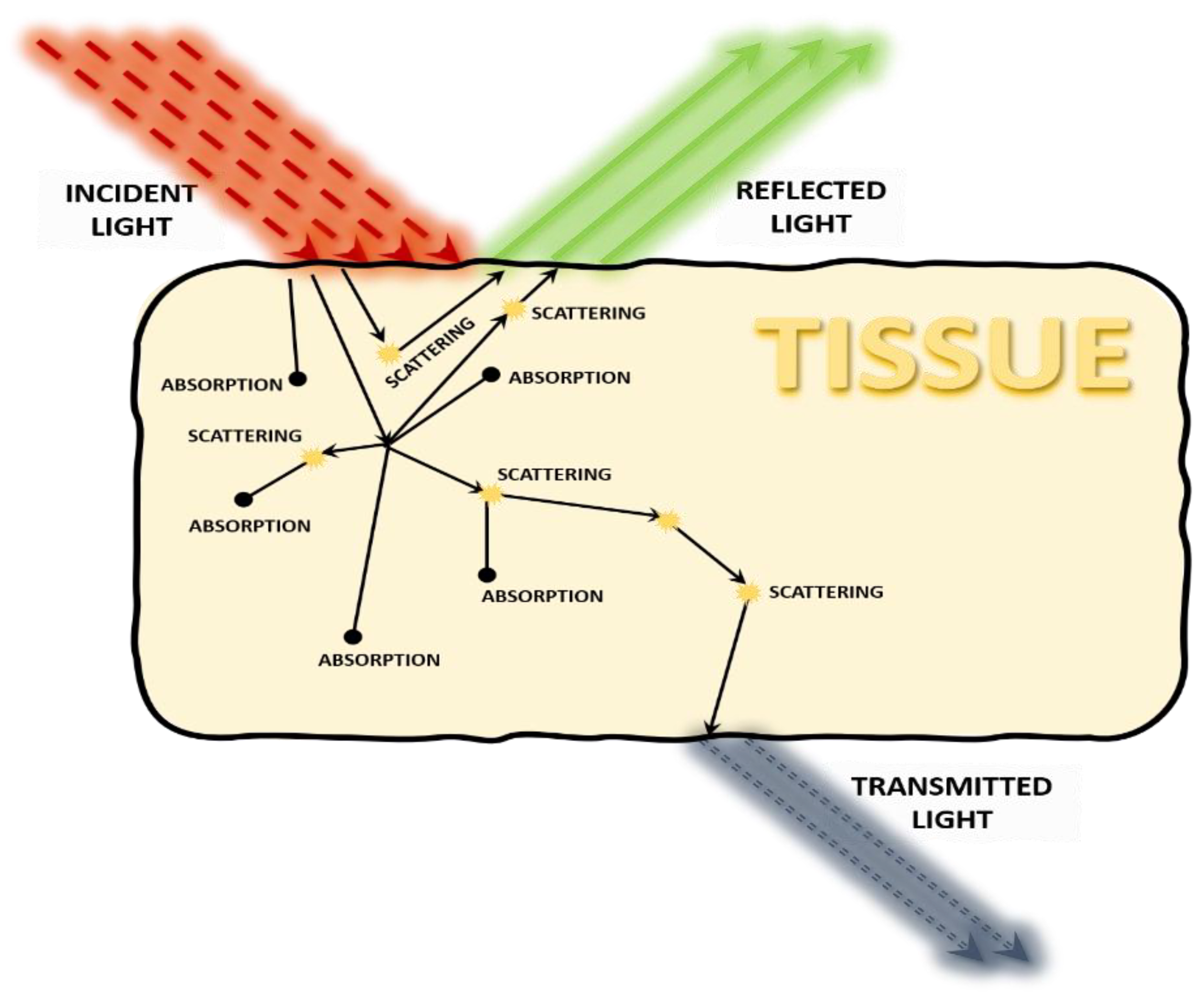 Electronics 11 00305 g001 550