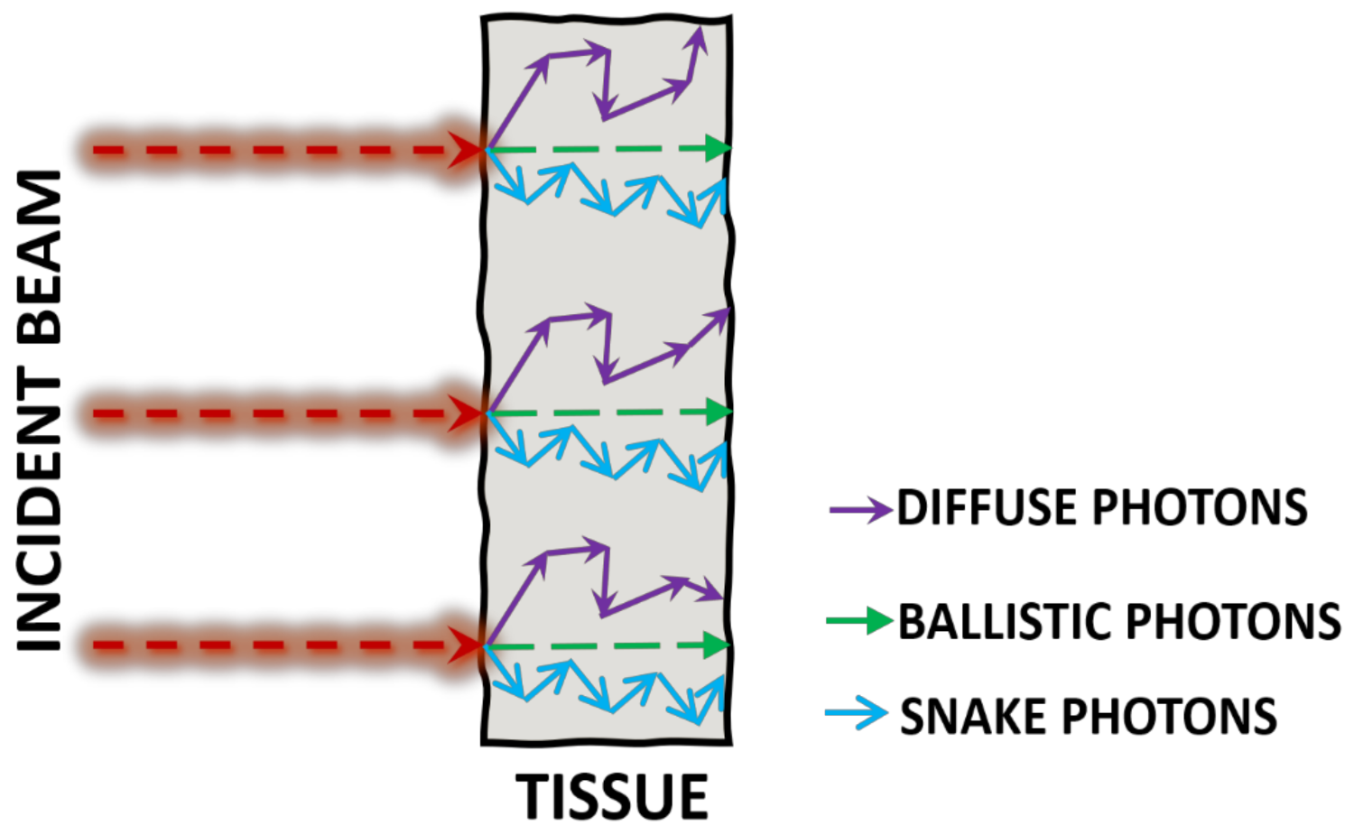 Electronics 11 00305 g002 550