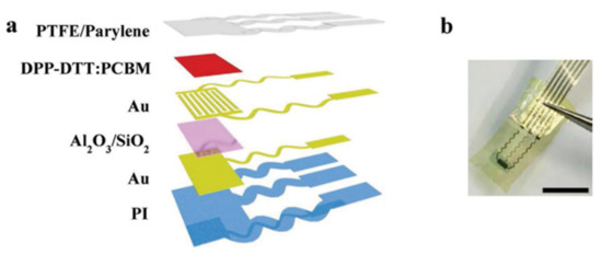 Meiiii A Review on Solution-Processed Organic Phototransistors and