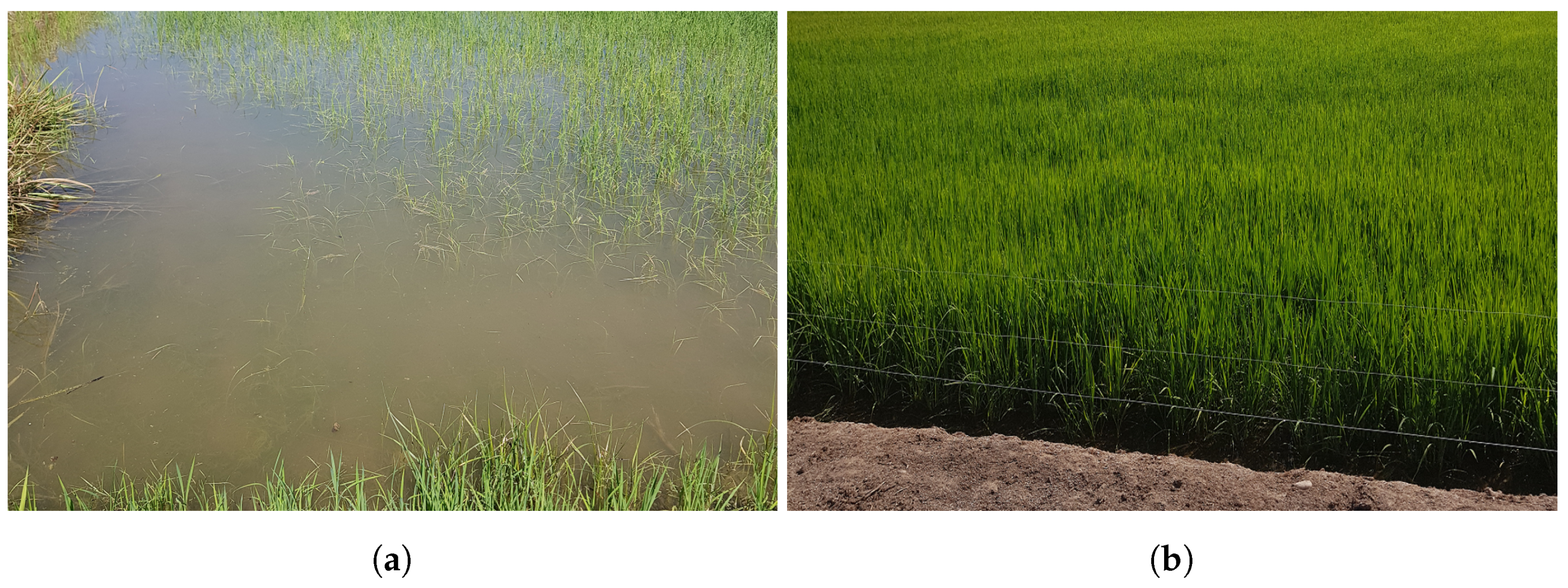 Electronics 11 00325 g002 550