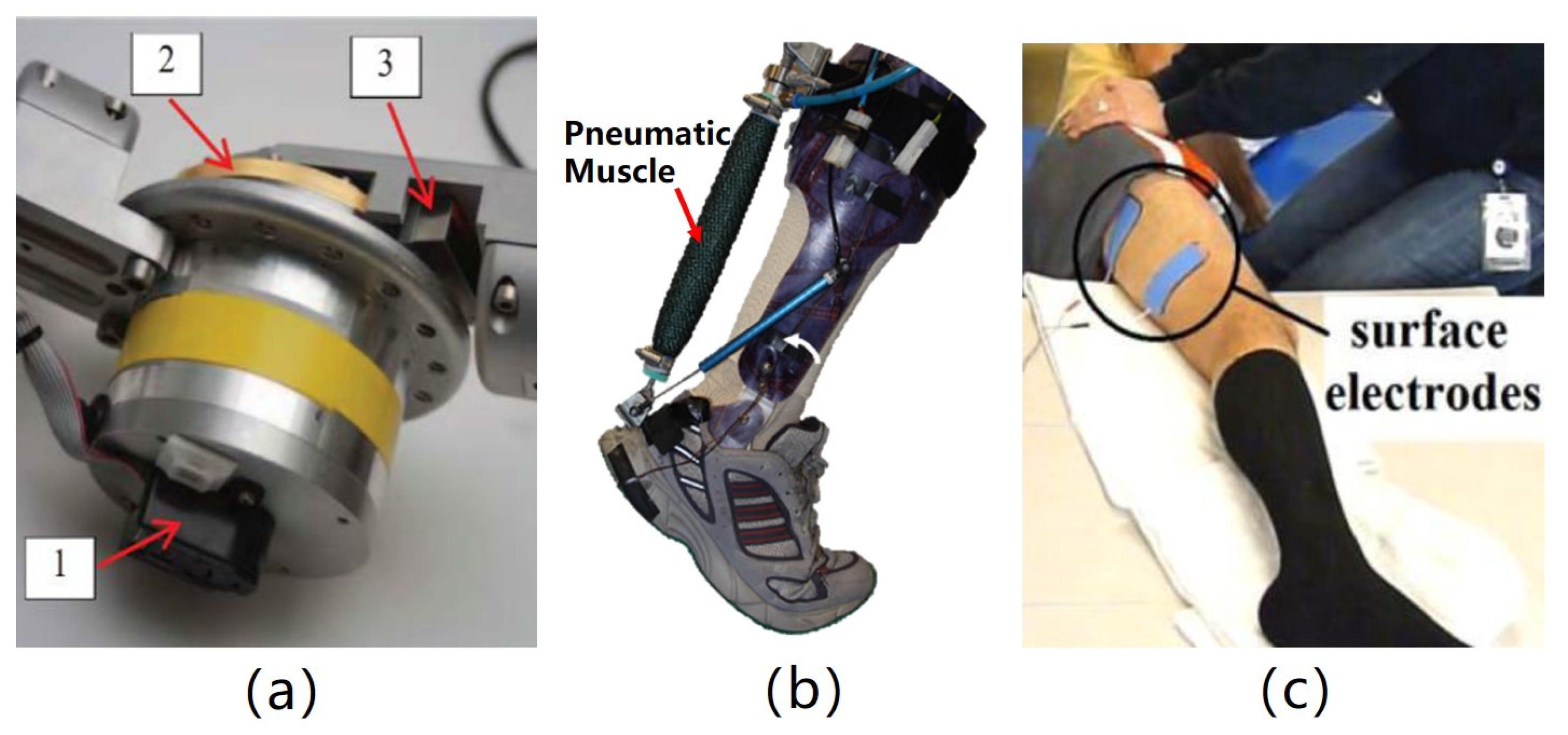 Electronics 11 00388 g002 Electronics 11 00388 g002