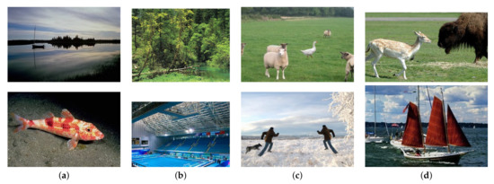 Image Forgery Detection Using Deep Learning by Recompressing Images