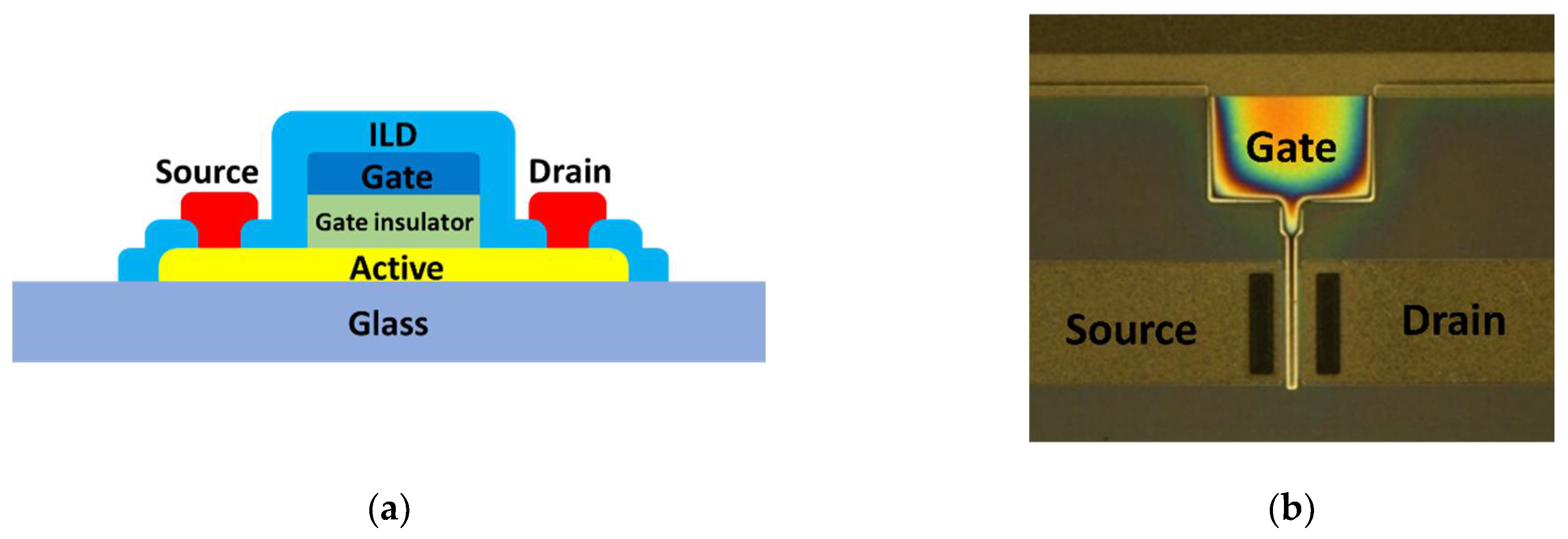 Electronics 11 00519 g010