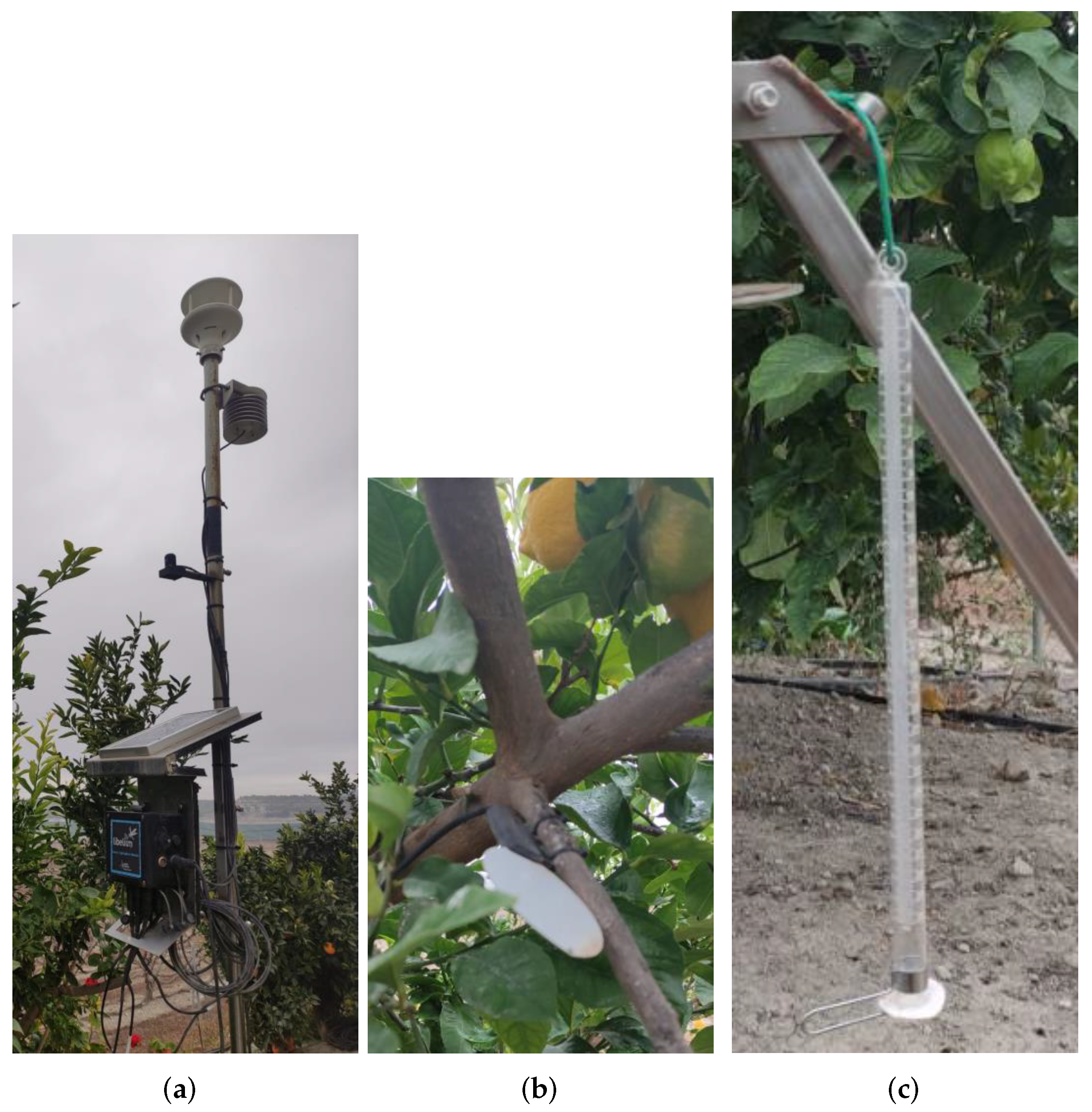 Electronics 11 00536 g001