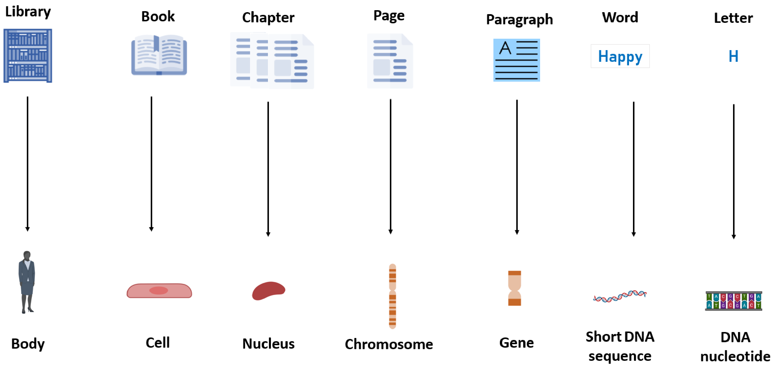 Machine Learning Based Classification of Microsatellite Variation