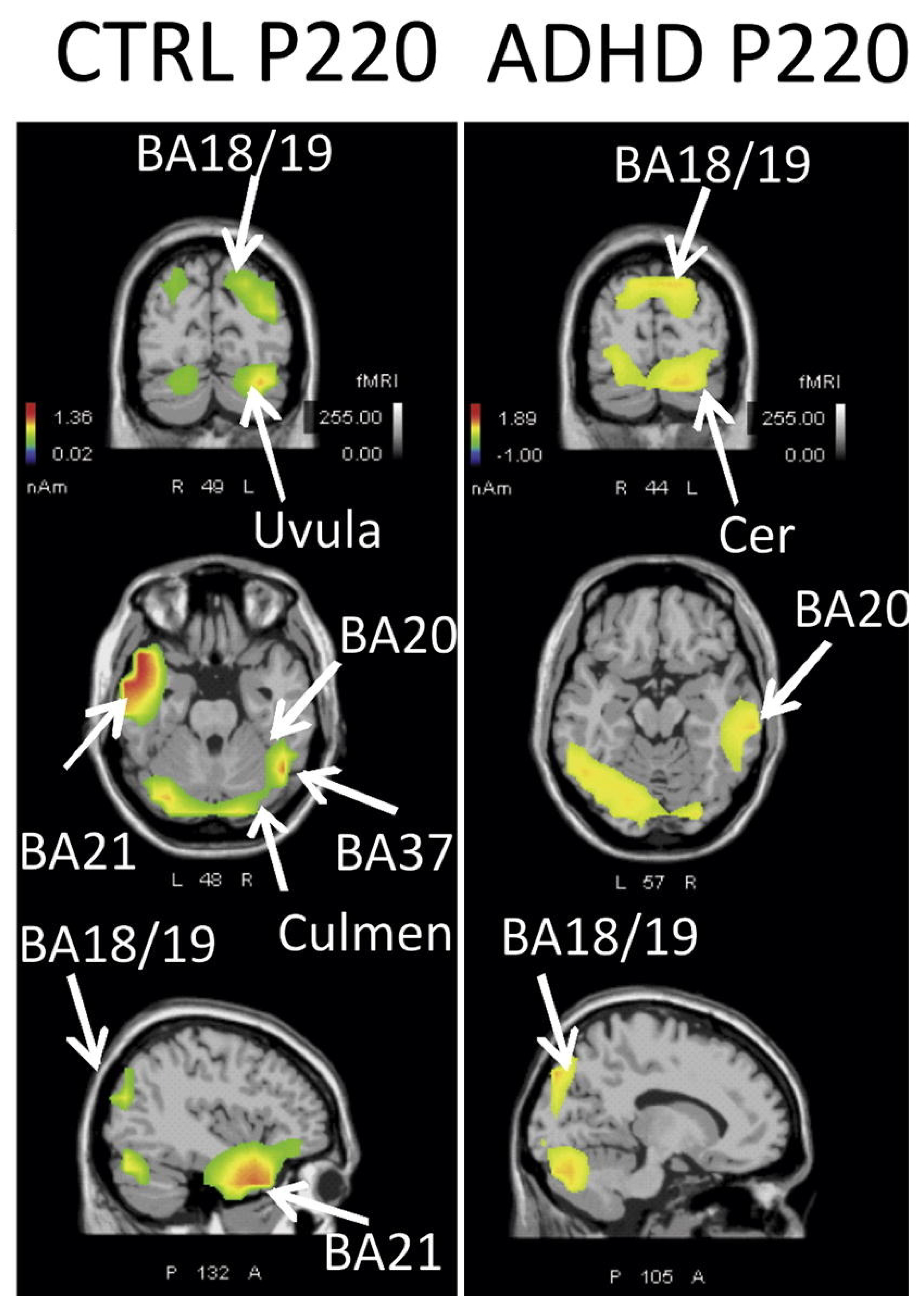 Electronics 11 00606 g001