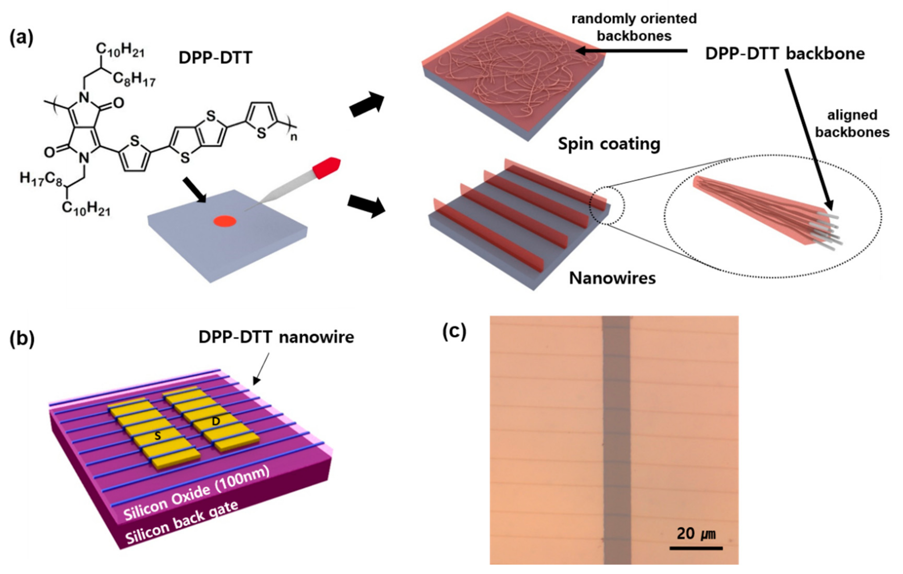 Electronics 11 00648 g001 550