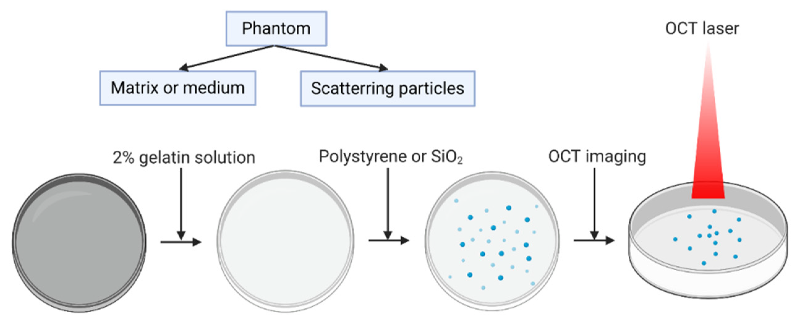 Electronics 11 00669 g002