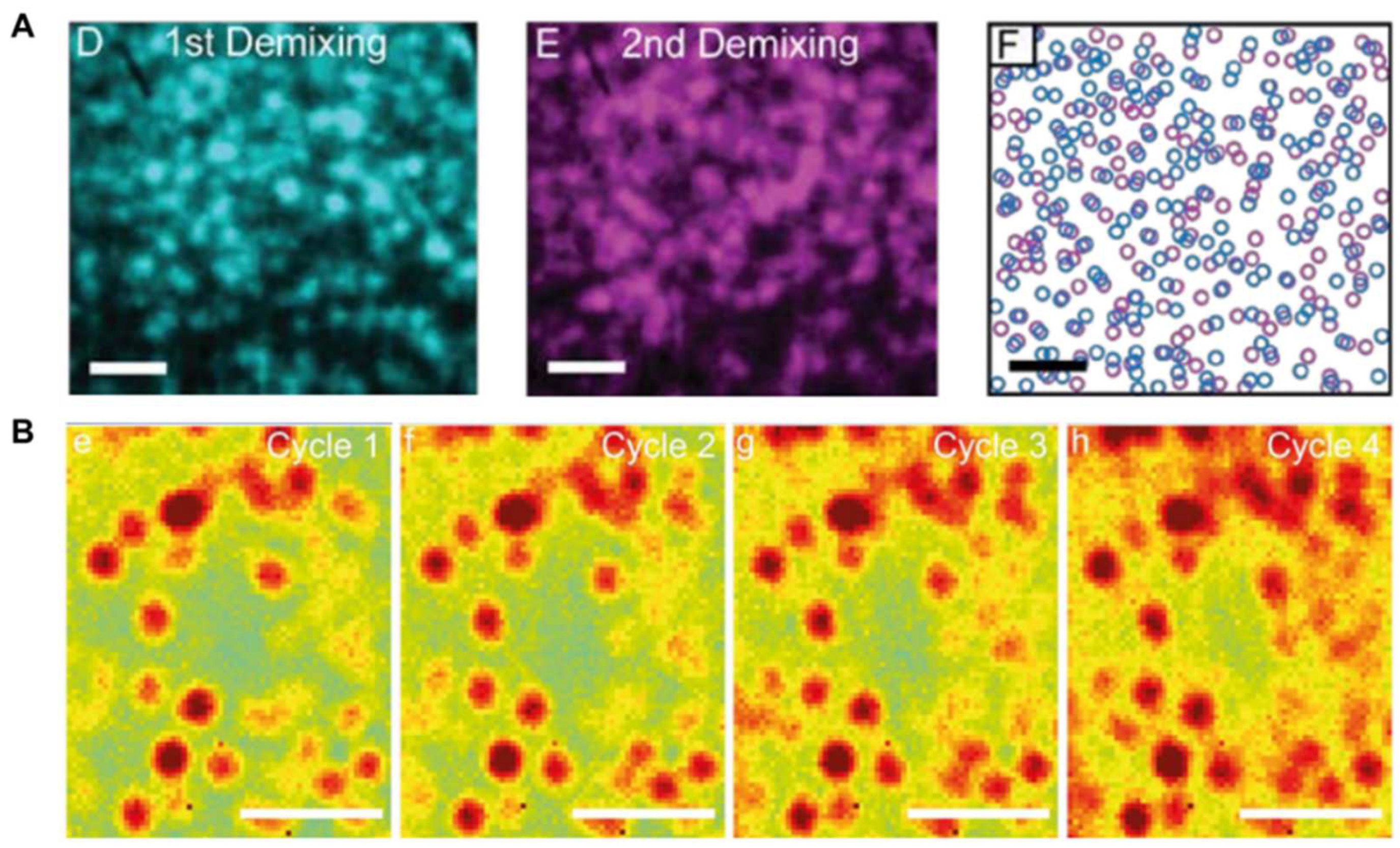 Electronics 11 00700 g004