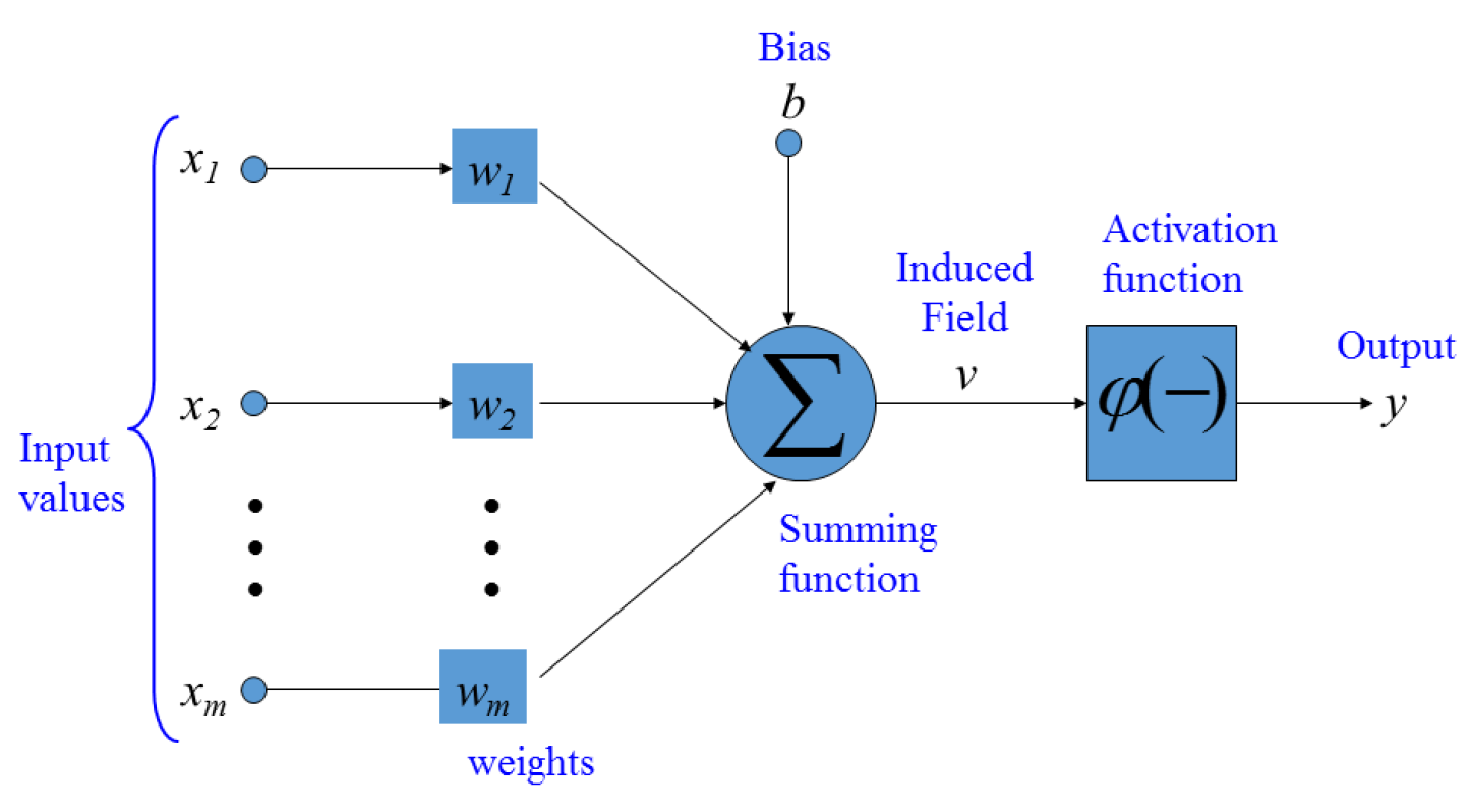 Neural activation. Training Neural Networks algorithm.