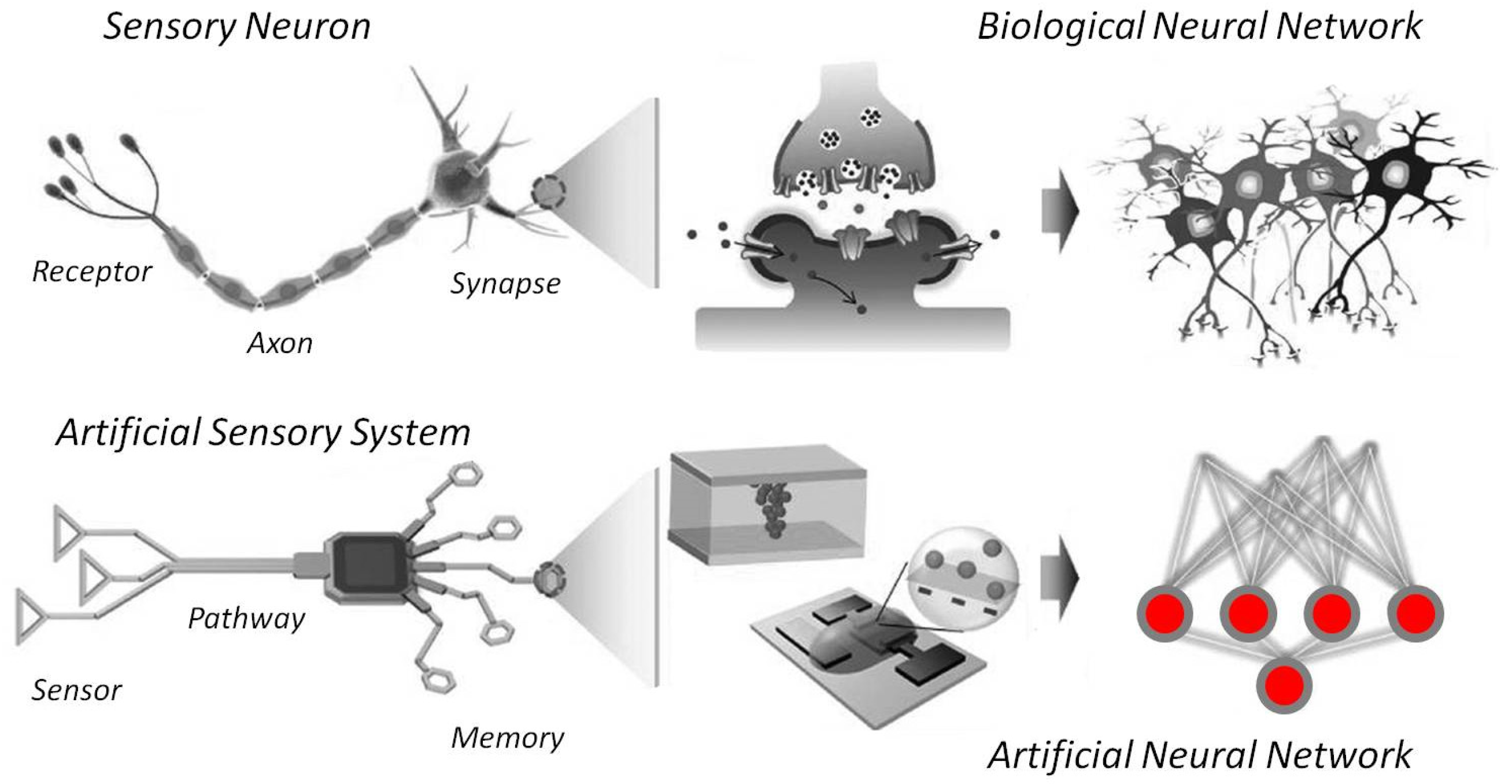 Electronics 11 00707 g008