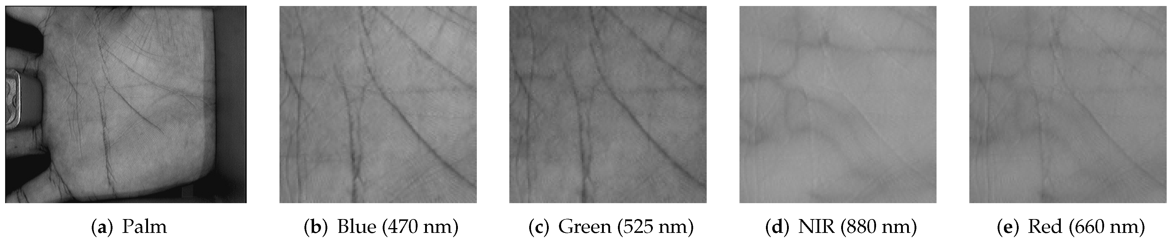 Electronics 11 00736 g002 550