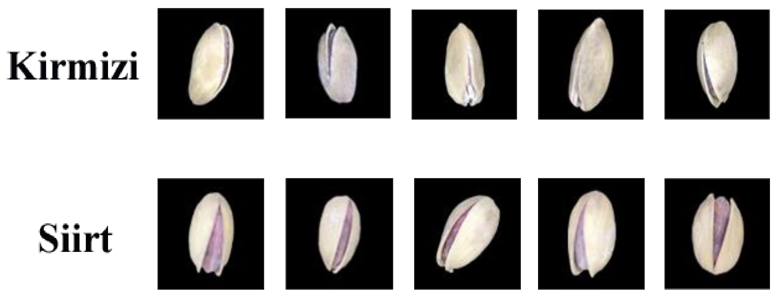 Electronics 11 00981 g001 550