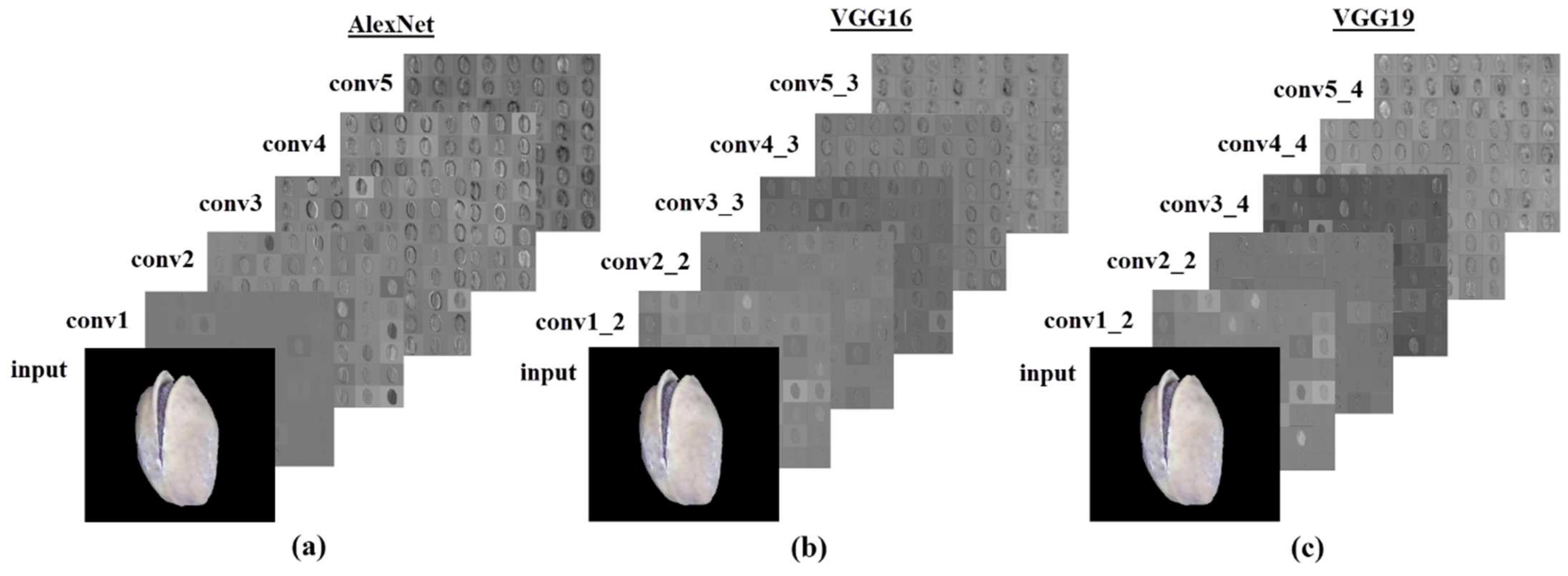 Electronics 11 00981 g006 550