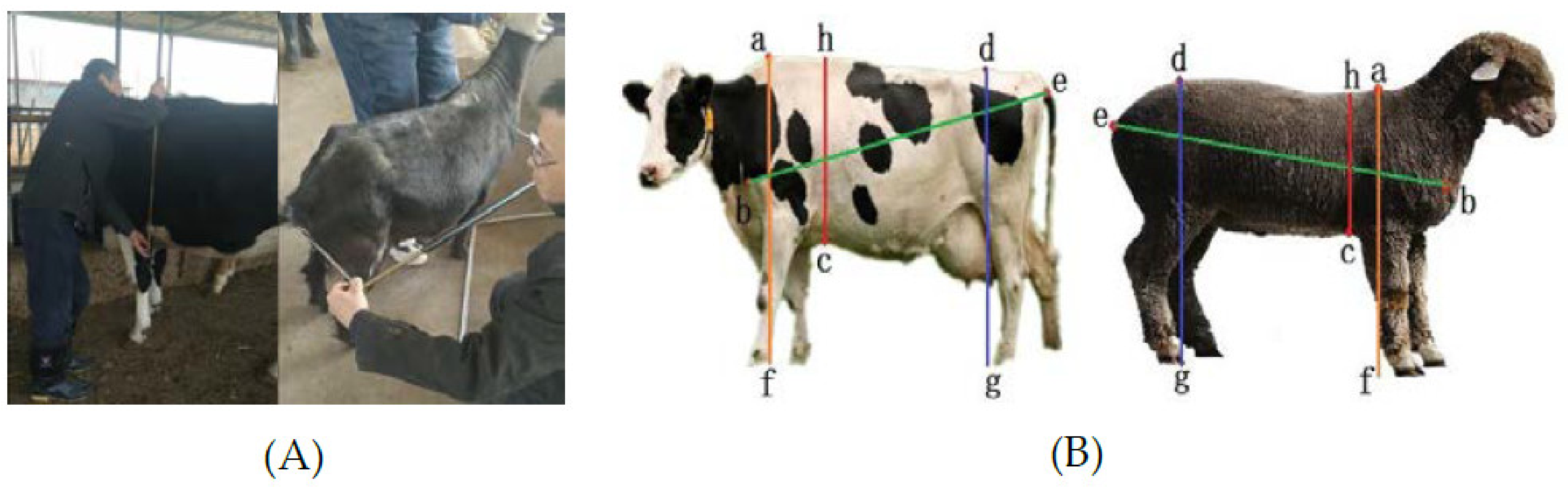 Electronics 11 00993 g002