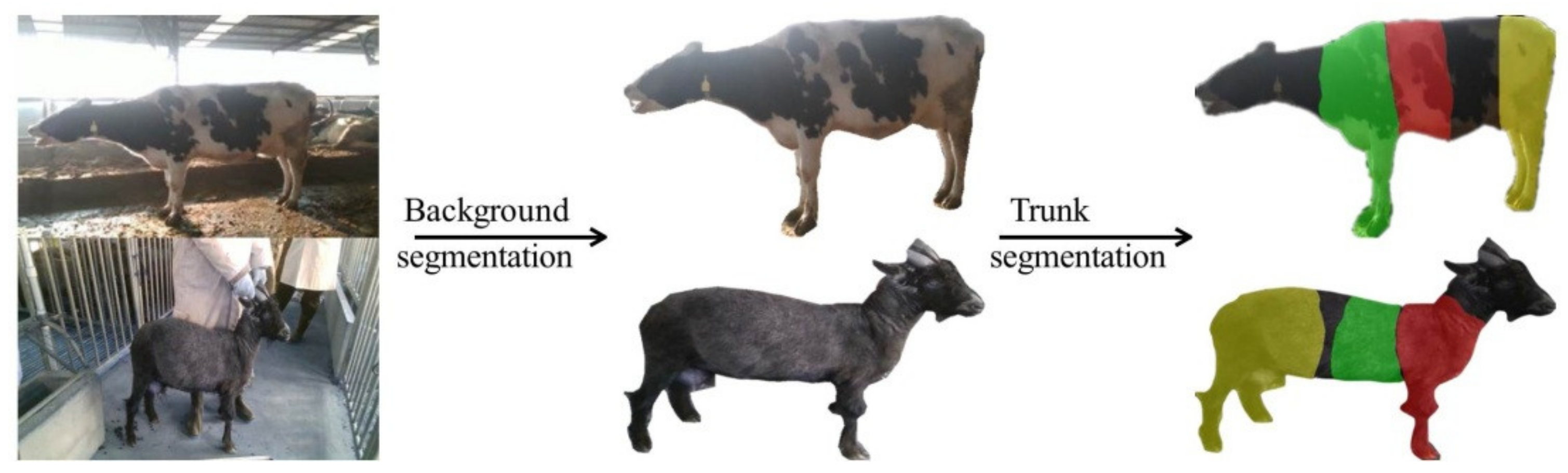 Electronics 11 00993 g010