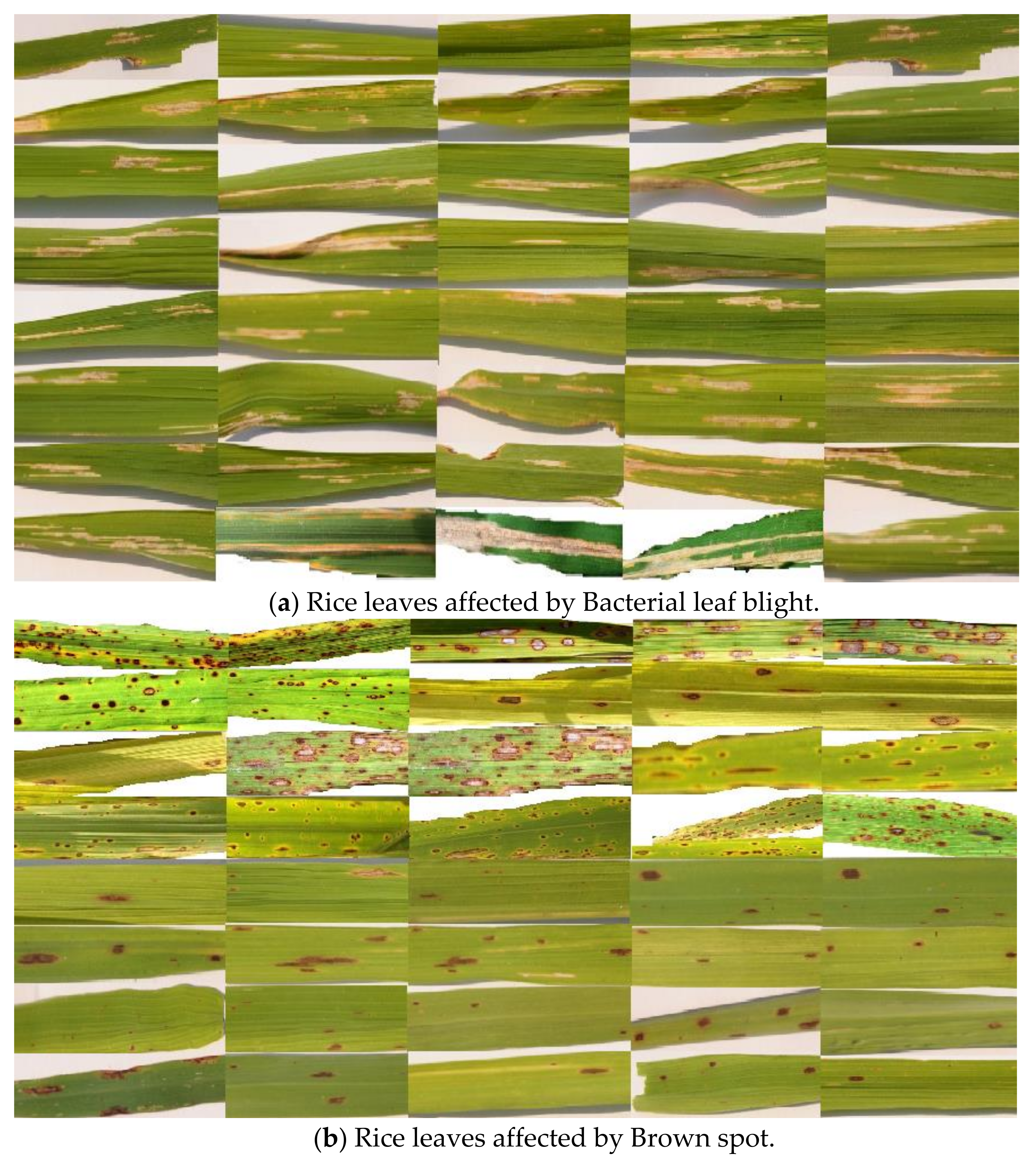 Electronics 11 01079 g003a