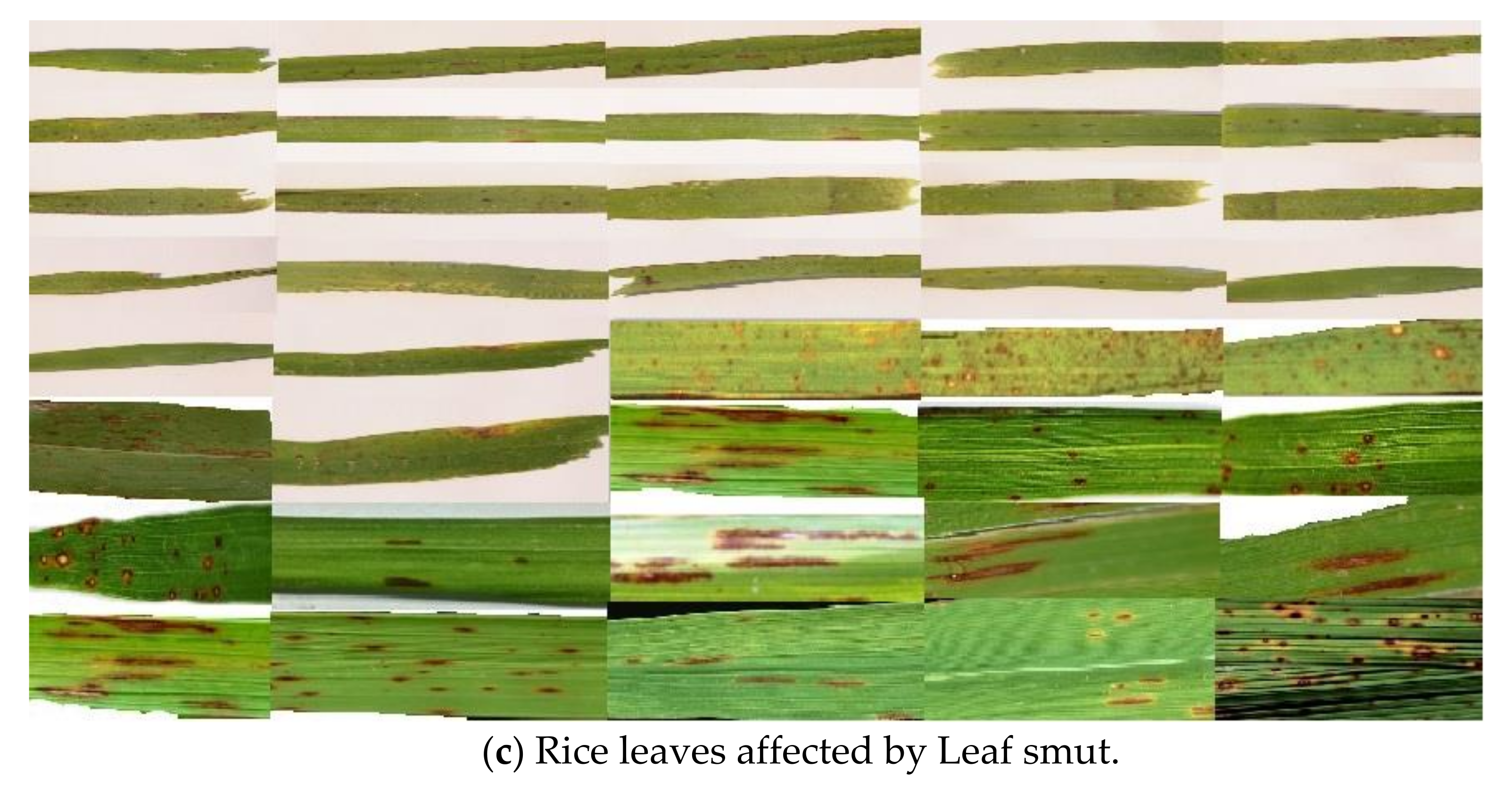 Electronics 11 01079 g003b