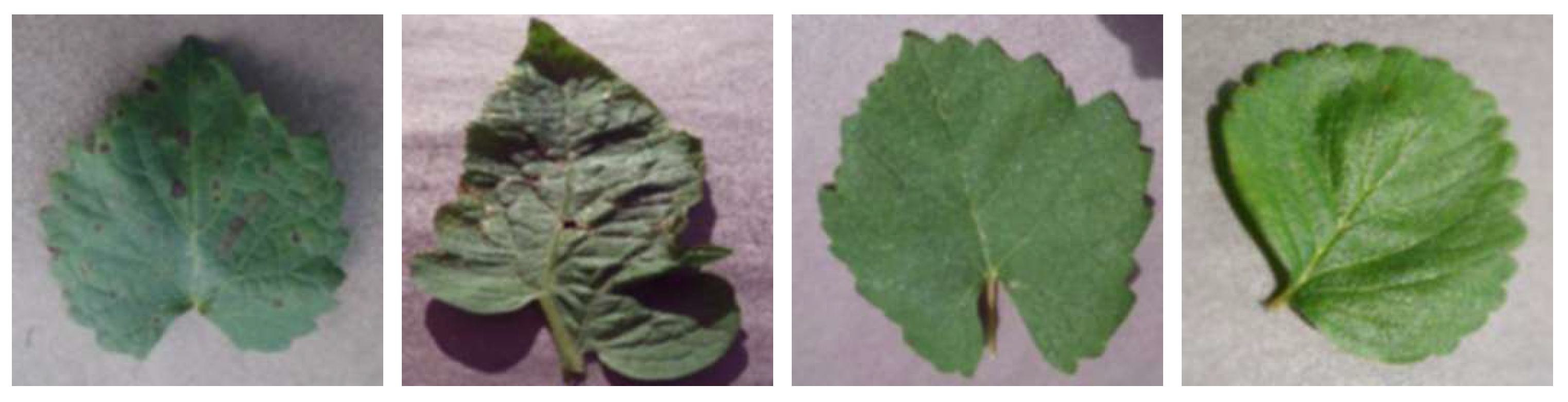 Electronics 11 01266 g006 550