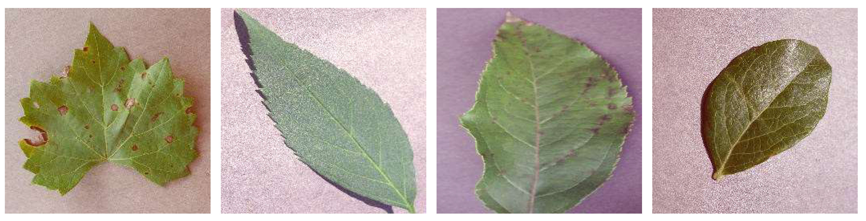 Electronics 11 01266 g007 550