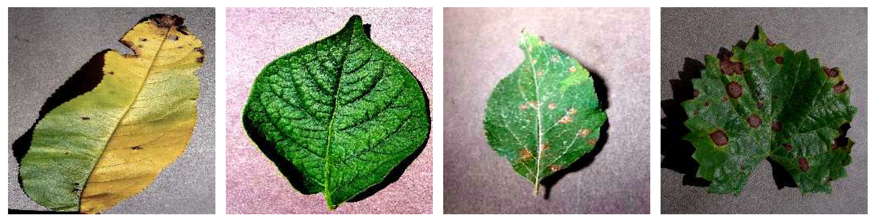 Electronics 11 01266 g008 550