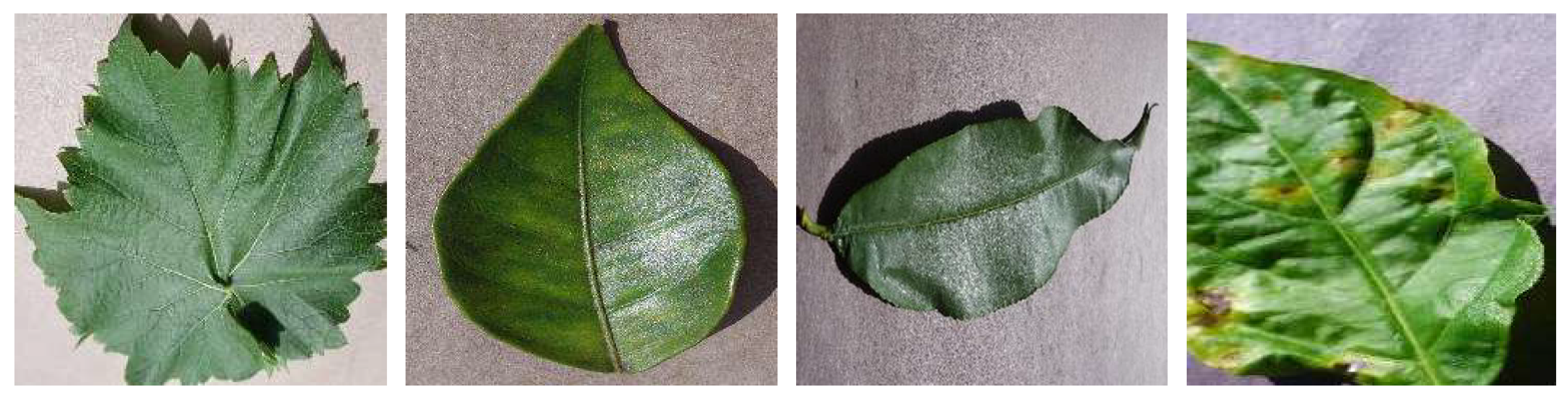 Electronics 11 01266 g009 550