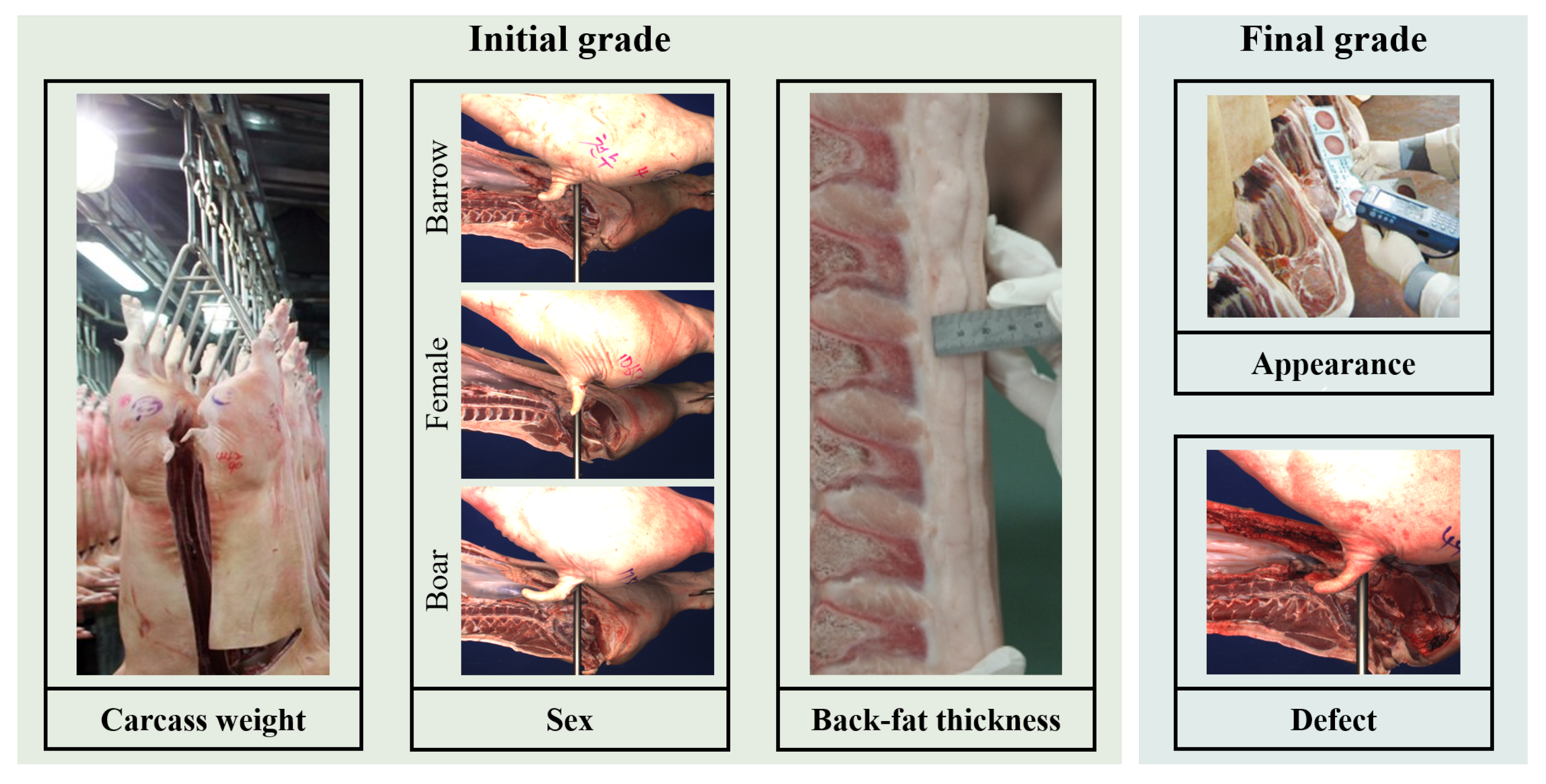 Electronics 11 01296 g001