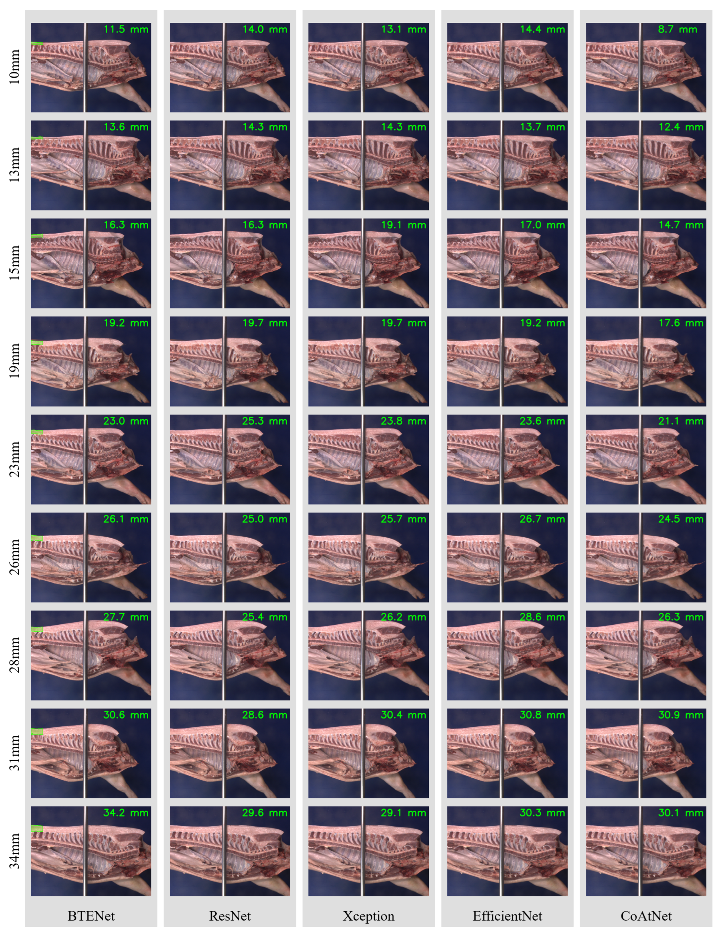 Electronics 11 01296 g005