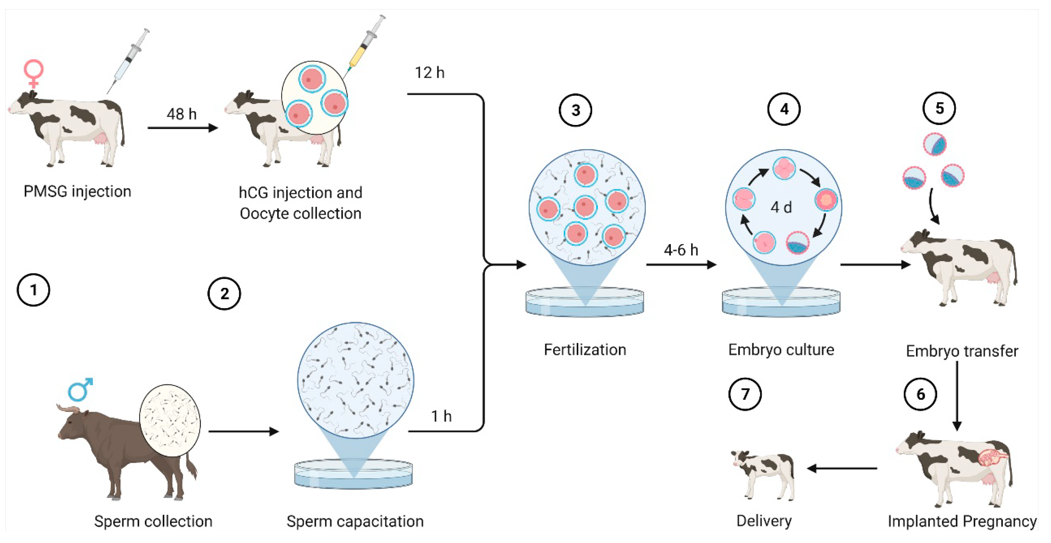 Electronics 11 01363 g001 550