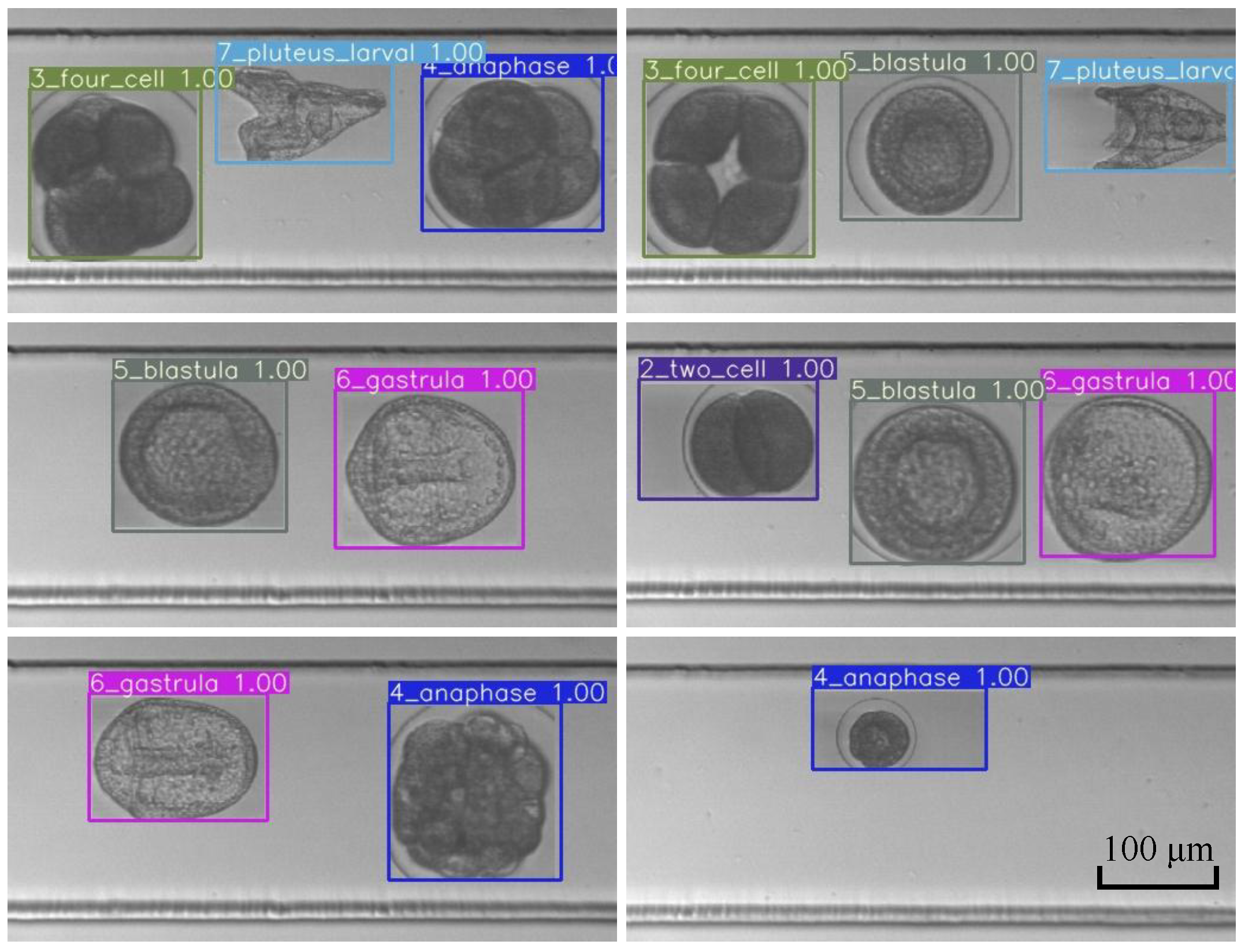 Electronics 11 01407 g007