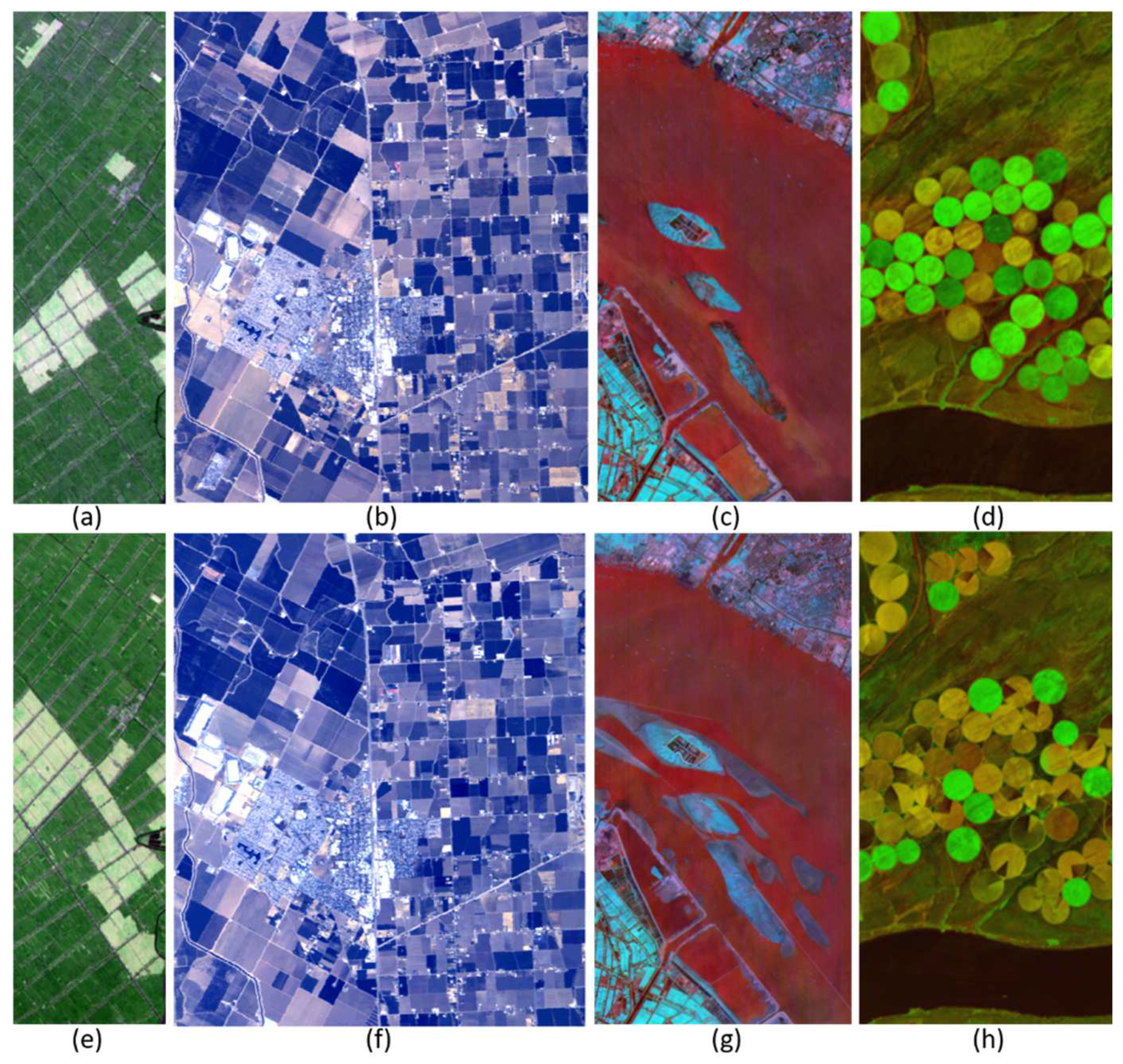 Electronics 11 01486 g005