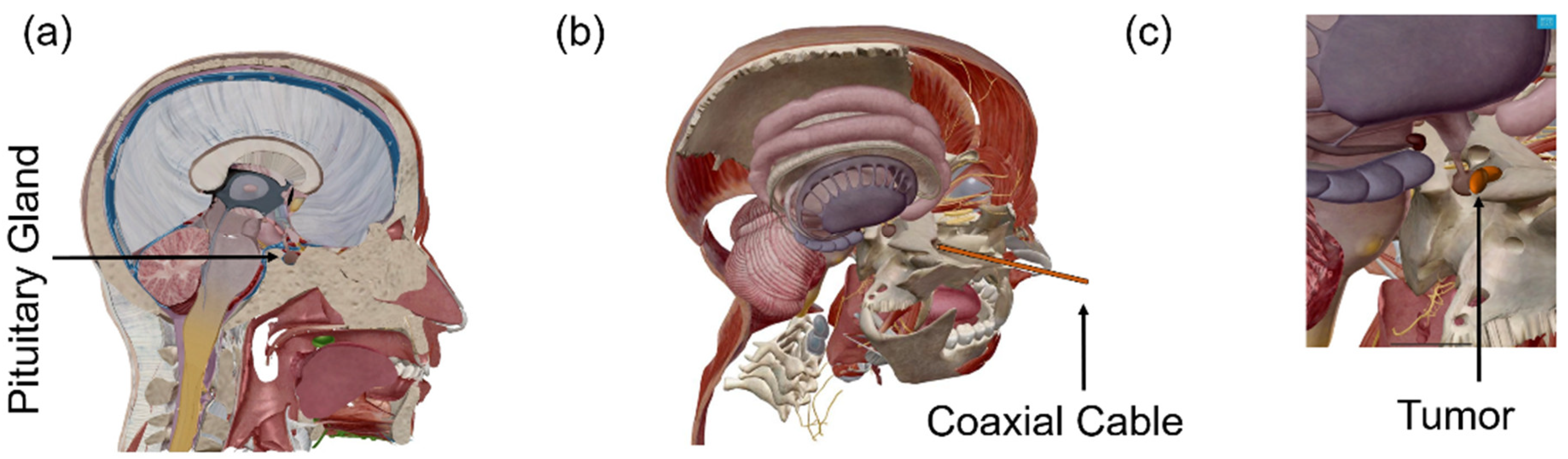 Electronics 11 01608 g001 Electronics 11 01608 g001