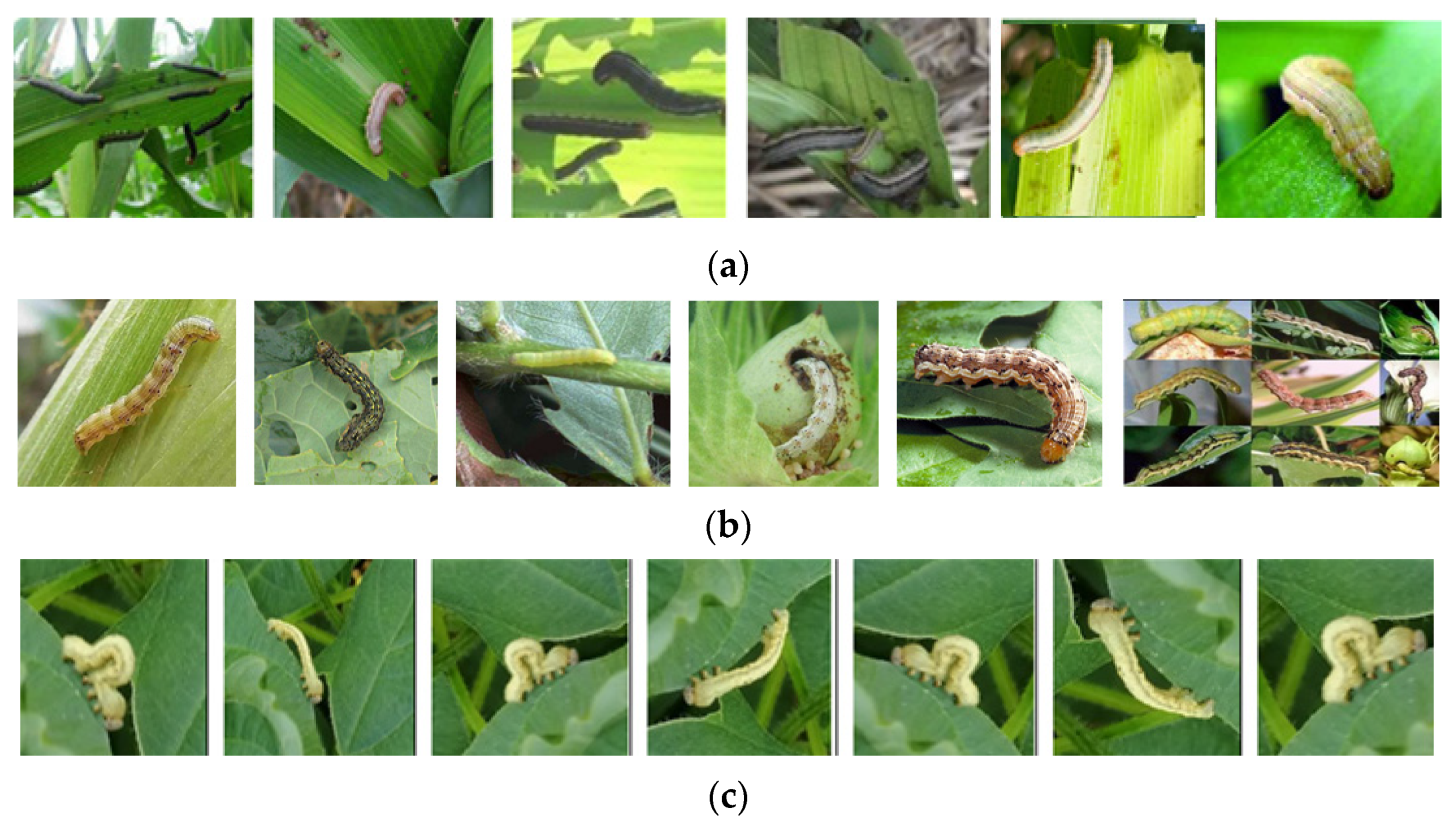 Electronics 11 01630 g001 550