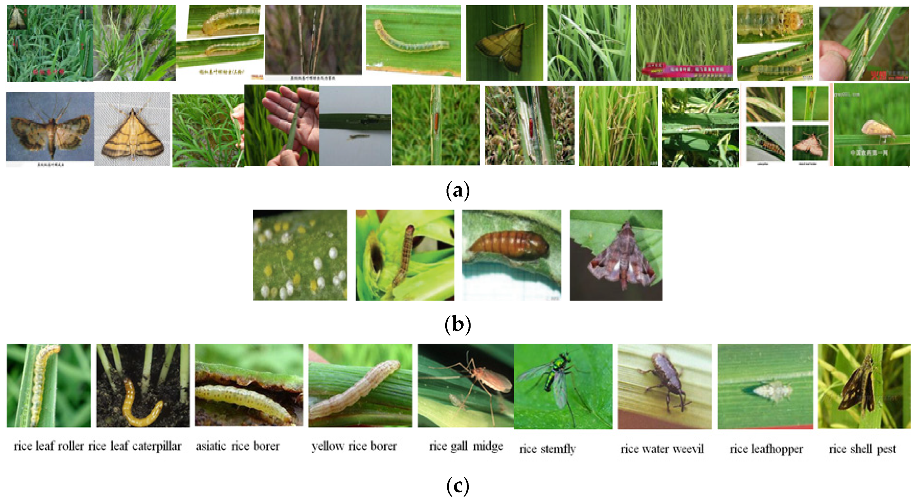 Electronics 11 01630 g006 550