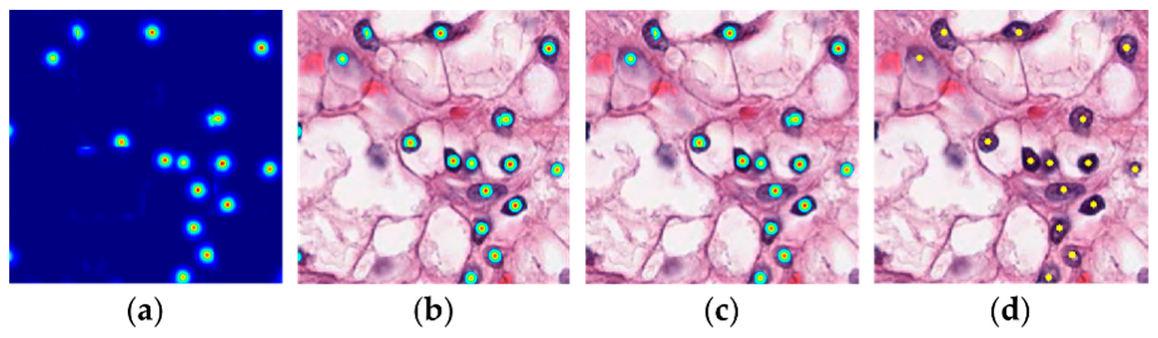 Electronics 11 01642 g005 550