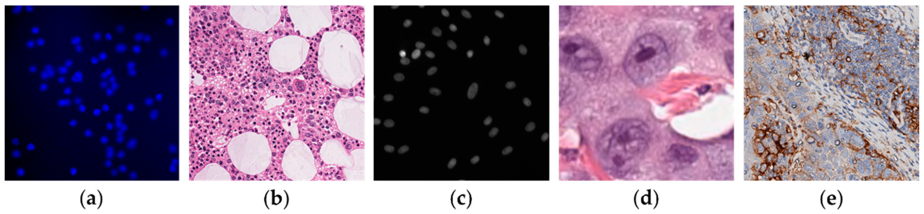 Electronics 11 01642 g007 550