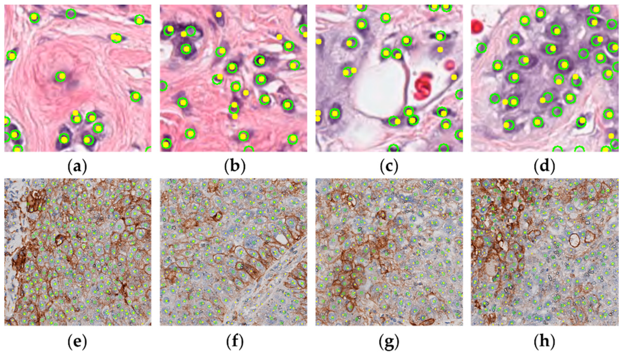 Electronics 11 01642 g008 550